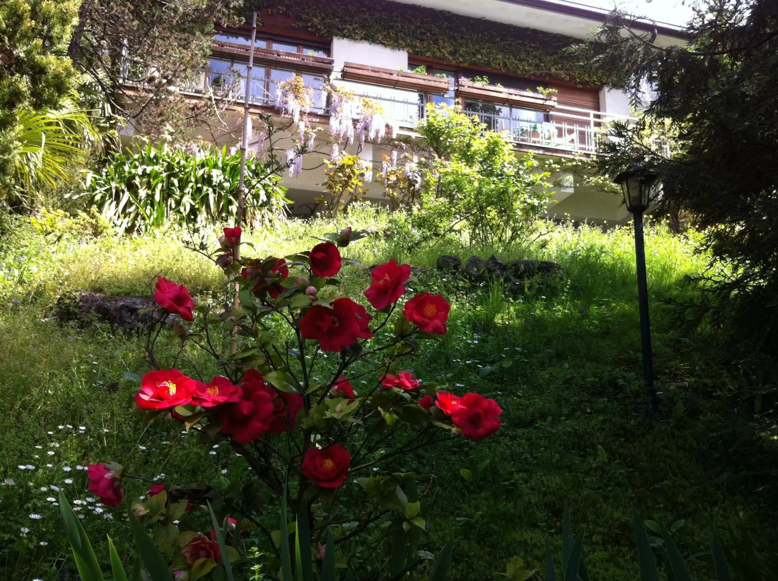 Garden view in B&B Le Ortensie -Lago di Como