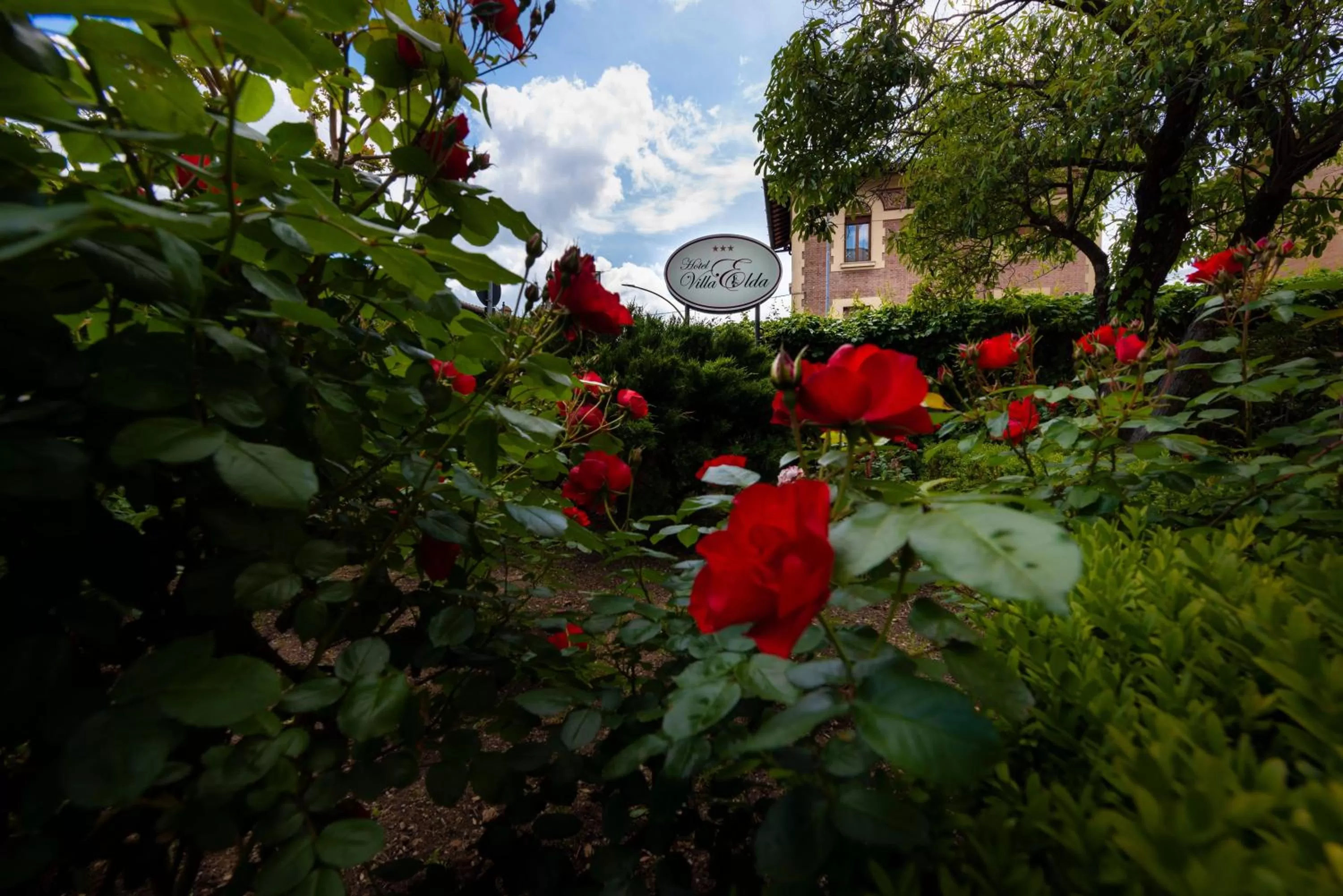 Garden in Villa Elda Boutique Hotel
