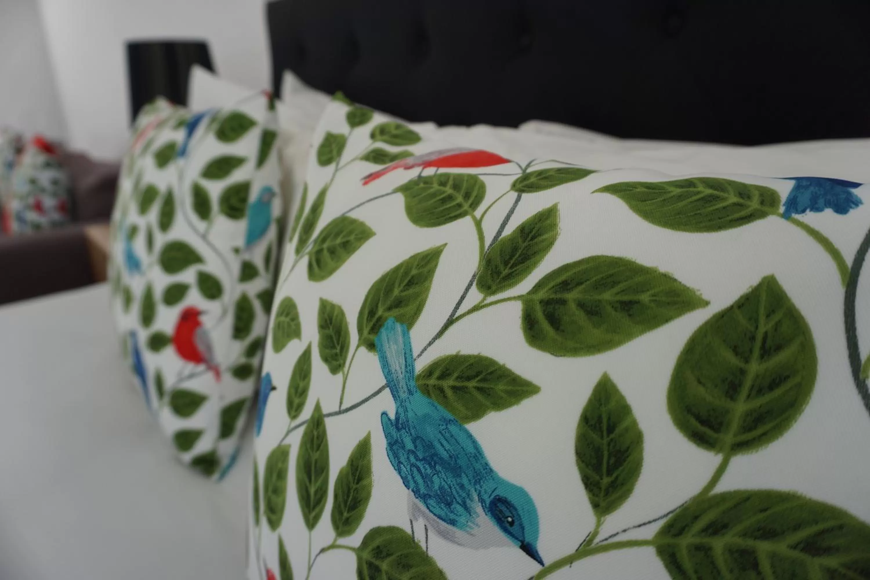 Bed in Ashmont Motel and Apartments