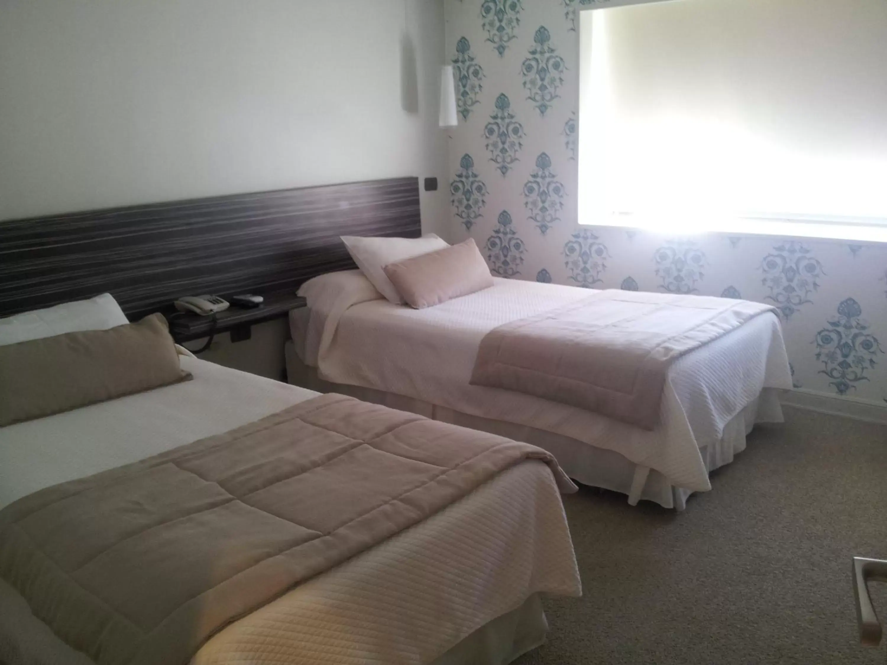 Twin Room in Hotel Las Terrazas Business Twin Room in Hotel Las Terrazas Business