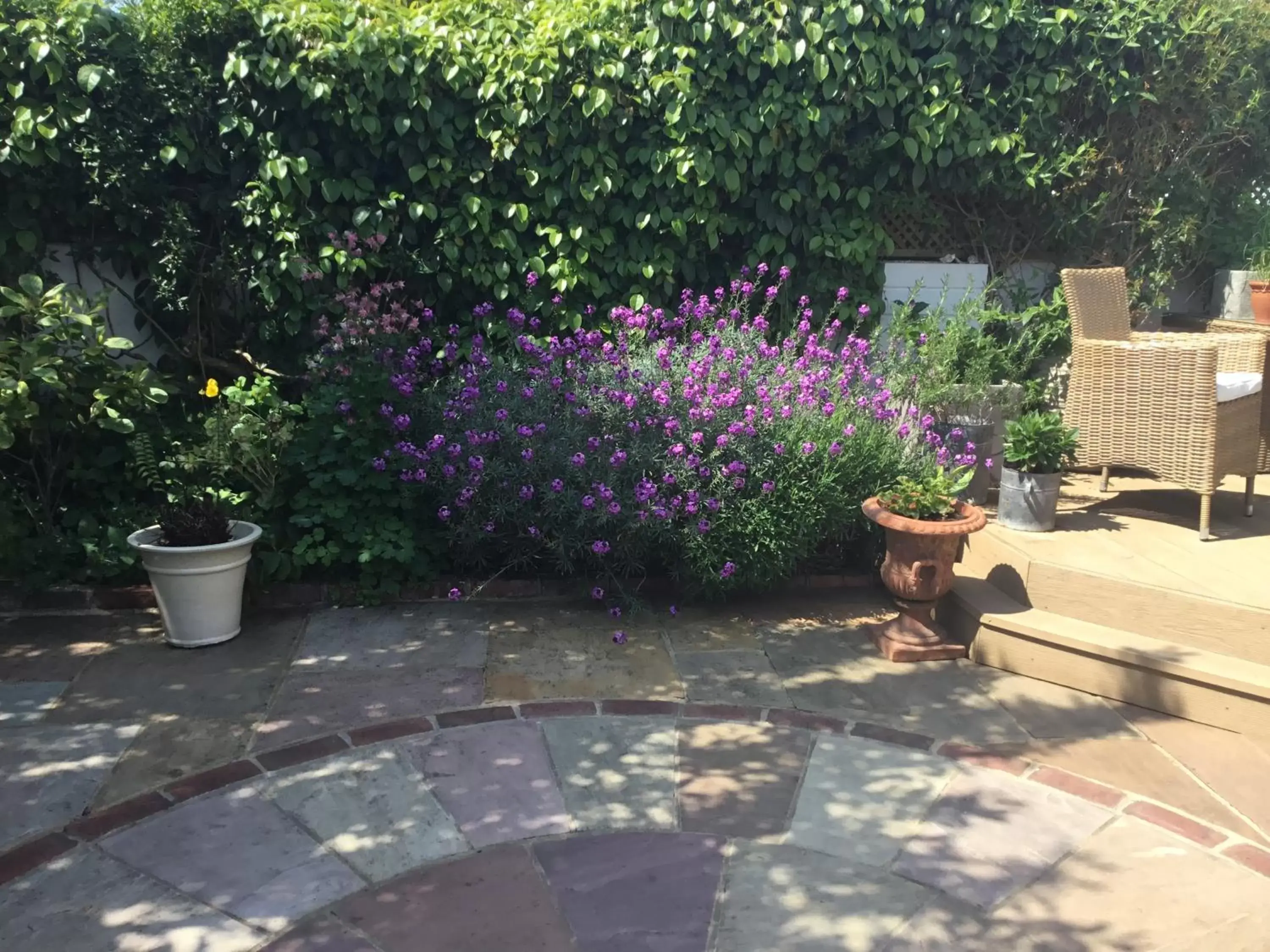 Garden, Patio/Outdoor Area in NUMBER 19 Chichester B&B