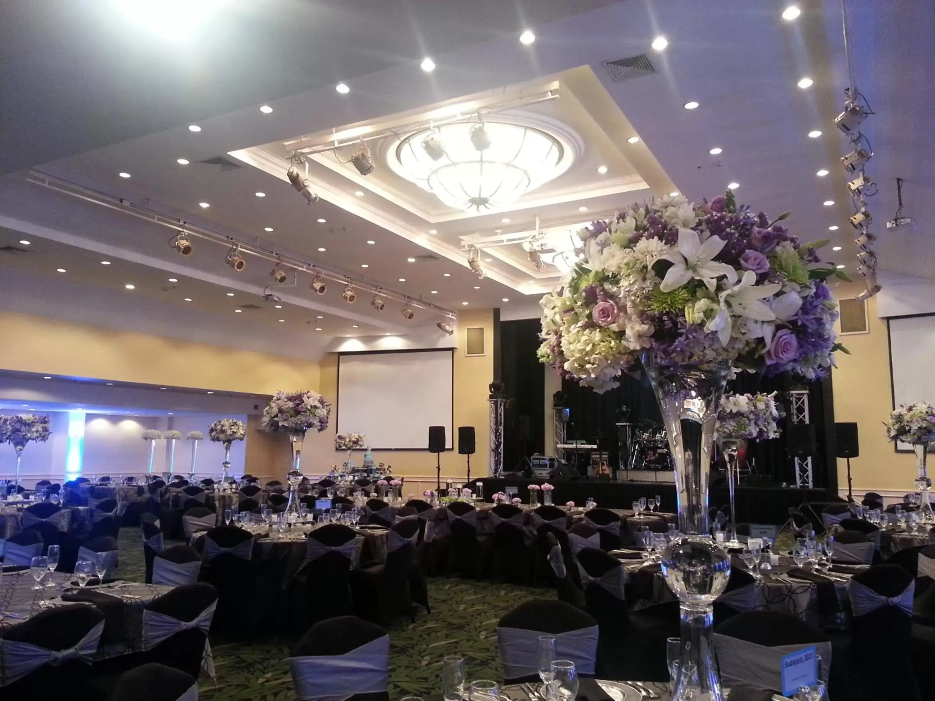 Meeting/conference room, Banquet Facilities in Crowne Plaza San Jose La Sabana, an IHG Hotel