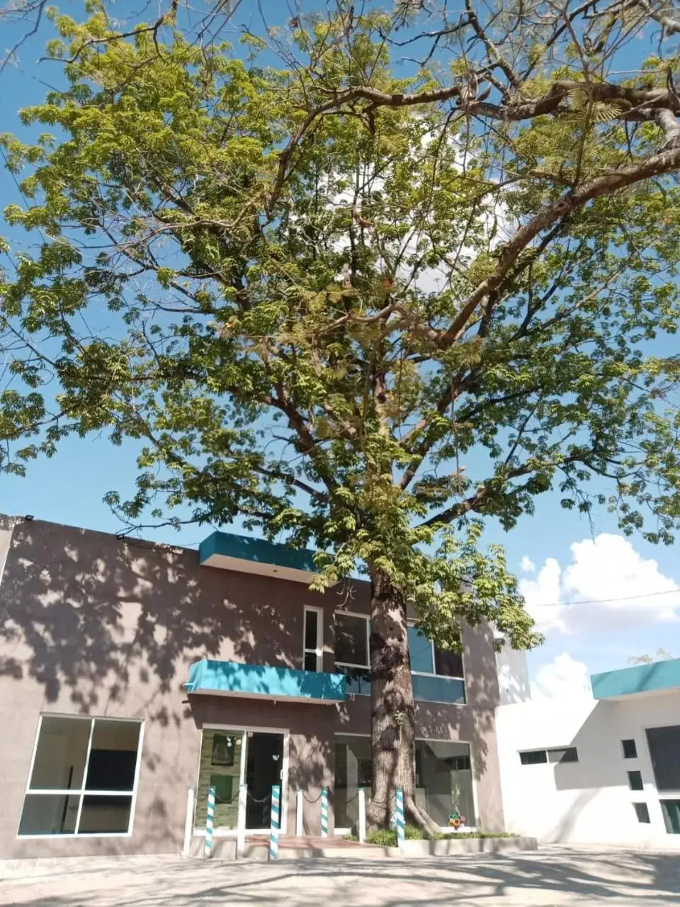 Street view, Property Building in Hotel Popeye