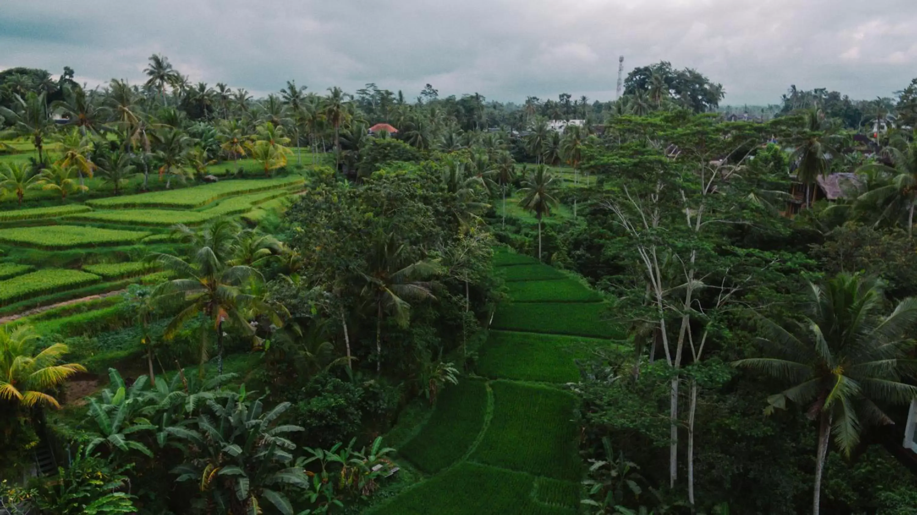 View (from property/room), Bird's-eye View in River Sakti Ubud by Prasi