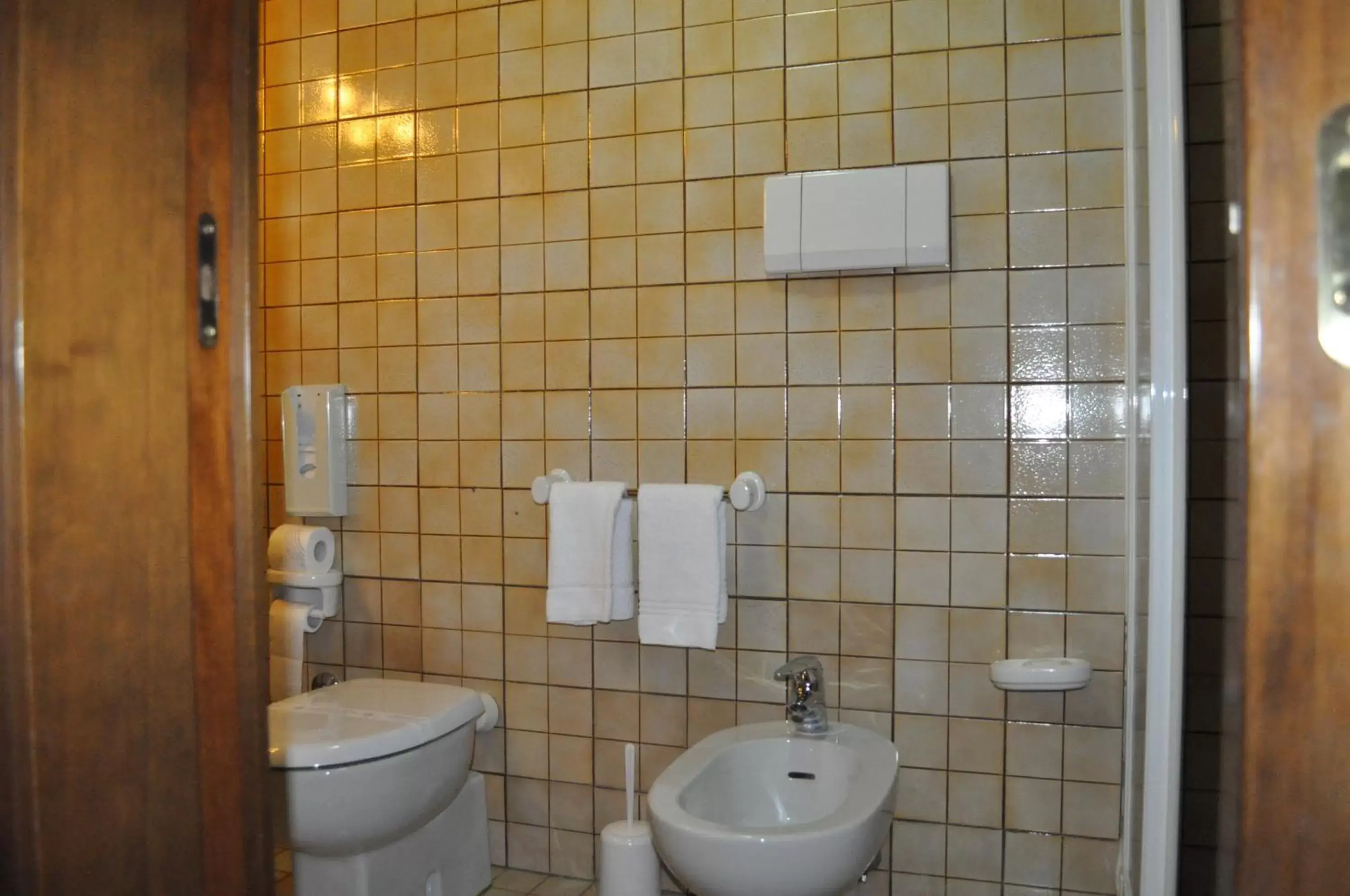 Bathroom in Hotel Igea