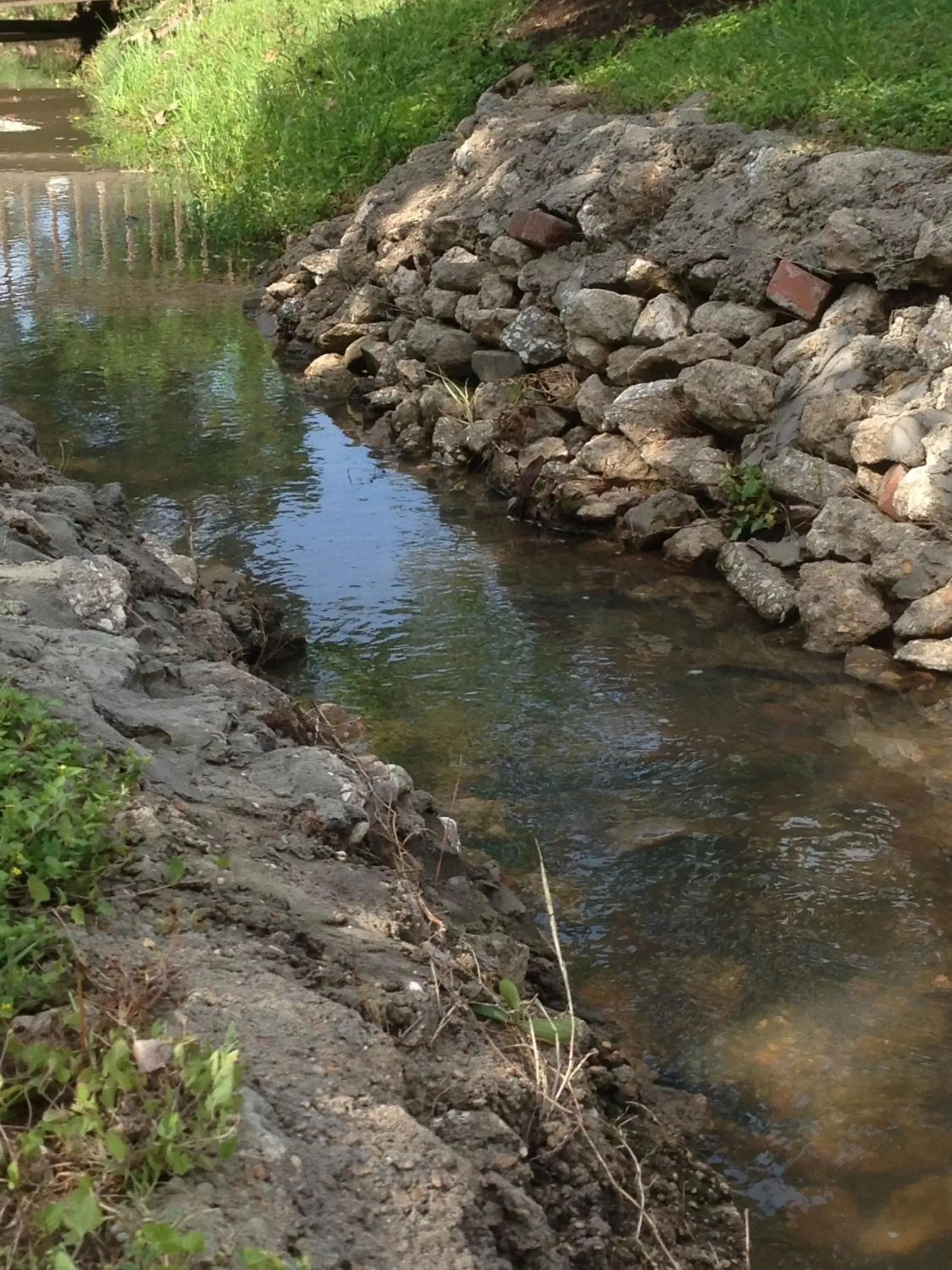 Natural Landscape in Maple Creek Bed&Breakfast