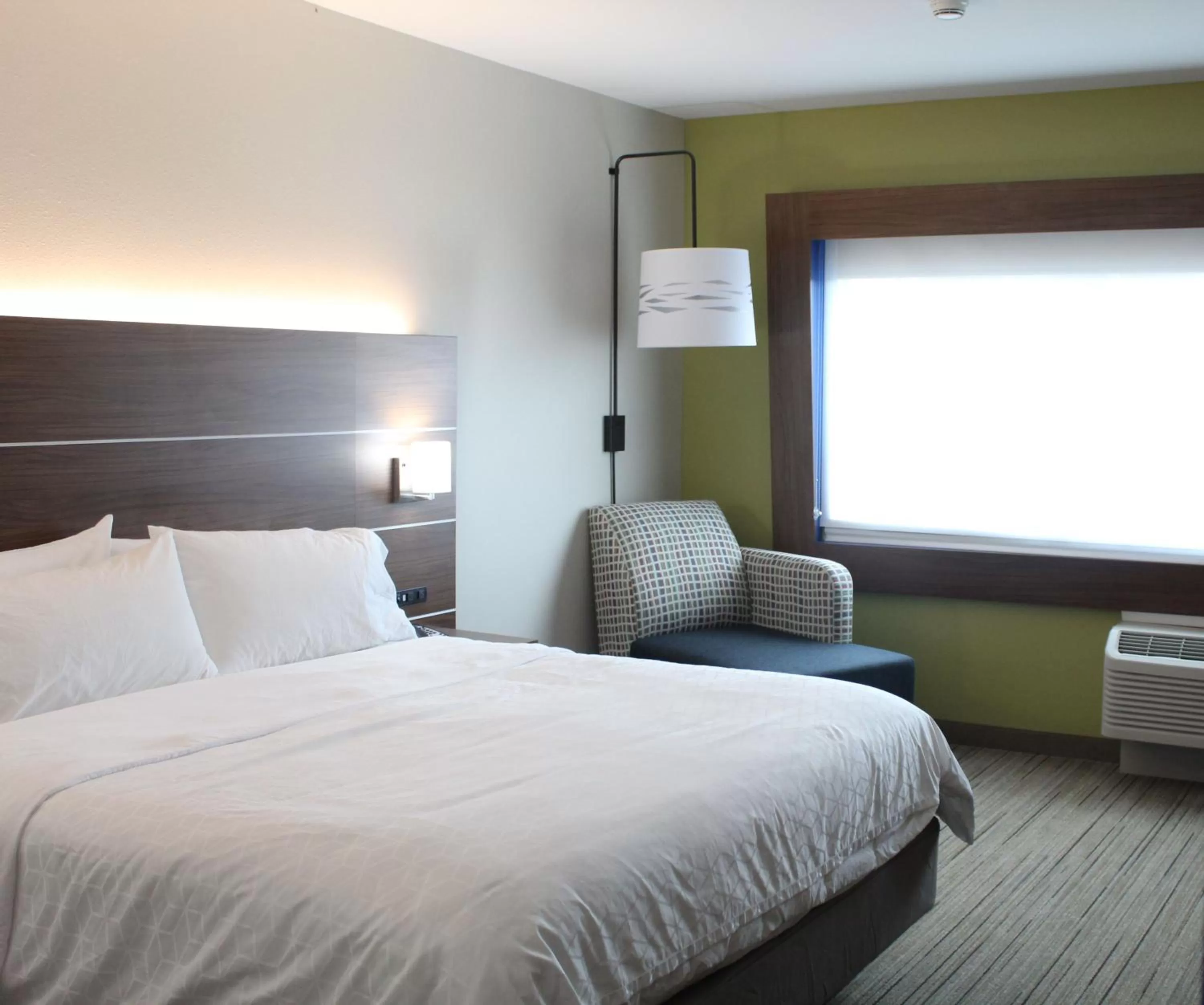 Photo of the whole room, Bed in Holiday Inn Express & Suites - Latta, an IHG Hotel