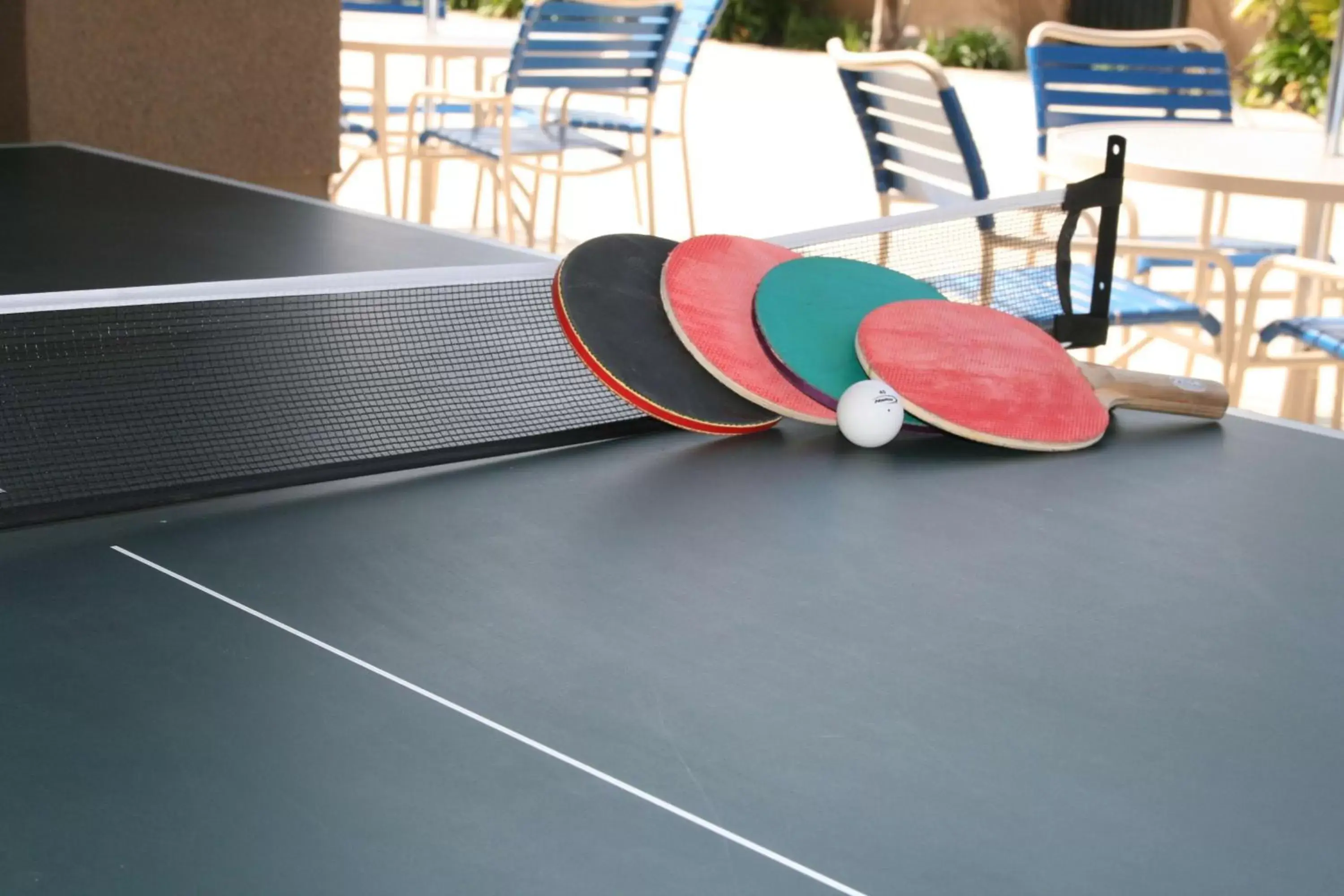 Sports, Table Tennis in Hampton Inn & Suites Lathrop
