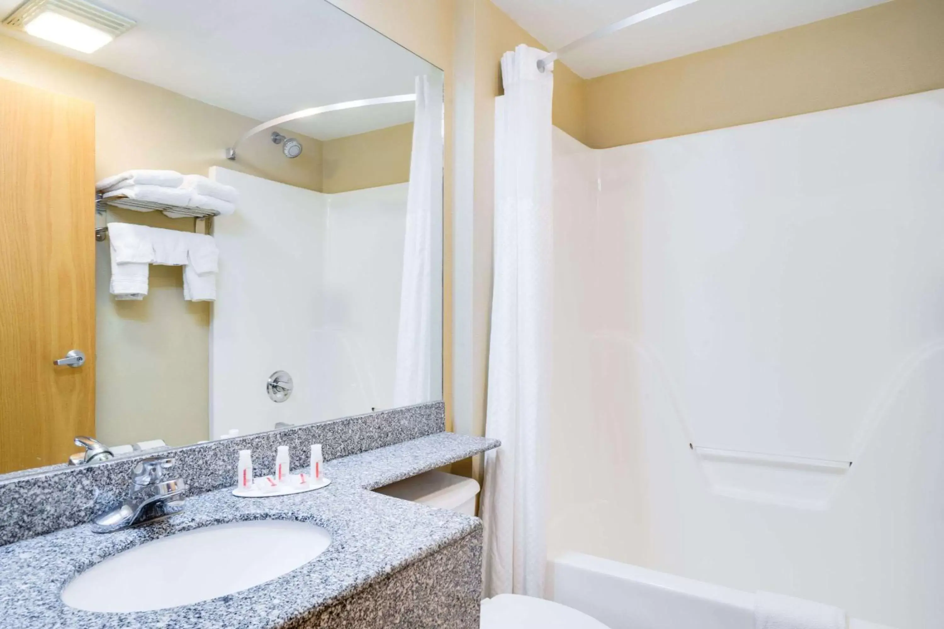 Bathroom in Microtel Inn & Suites by Wyndham Pigeon Forge