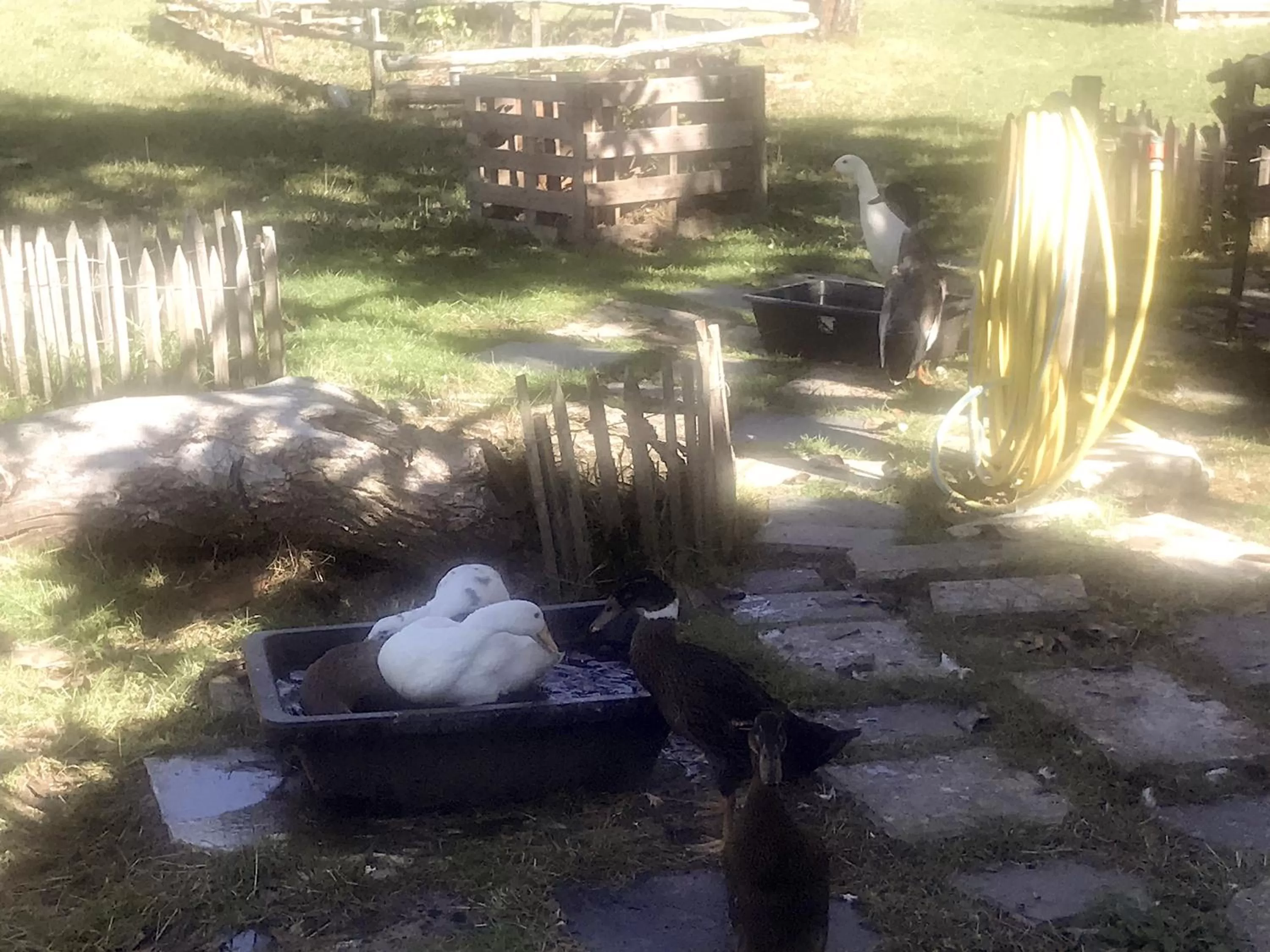 Chez Gustave & Compagnie