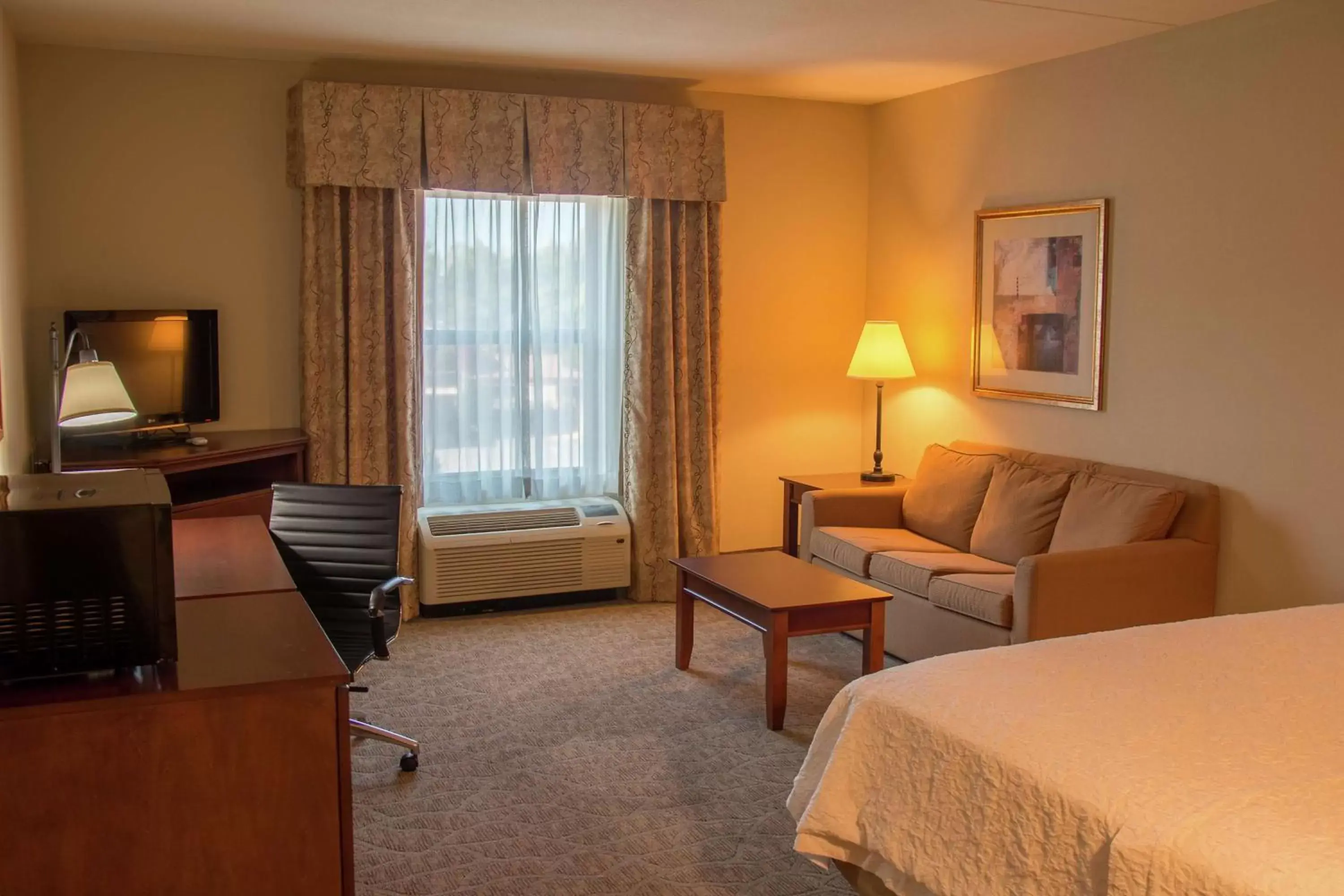 King Room with Roll-in Shower - Disability Access - Non-Smoking in Hampton Inn Murphy