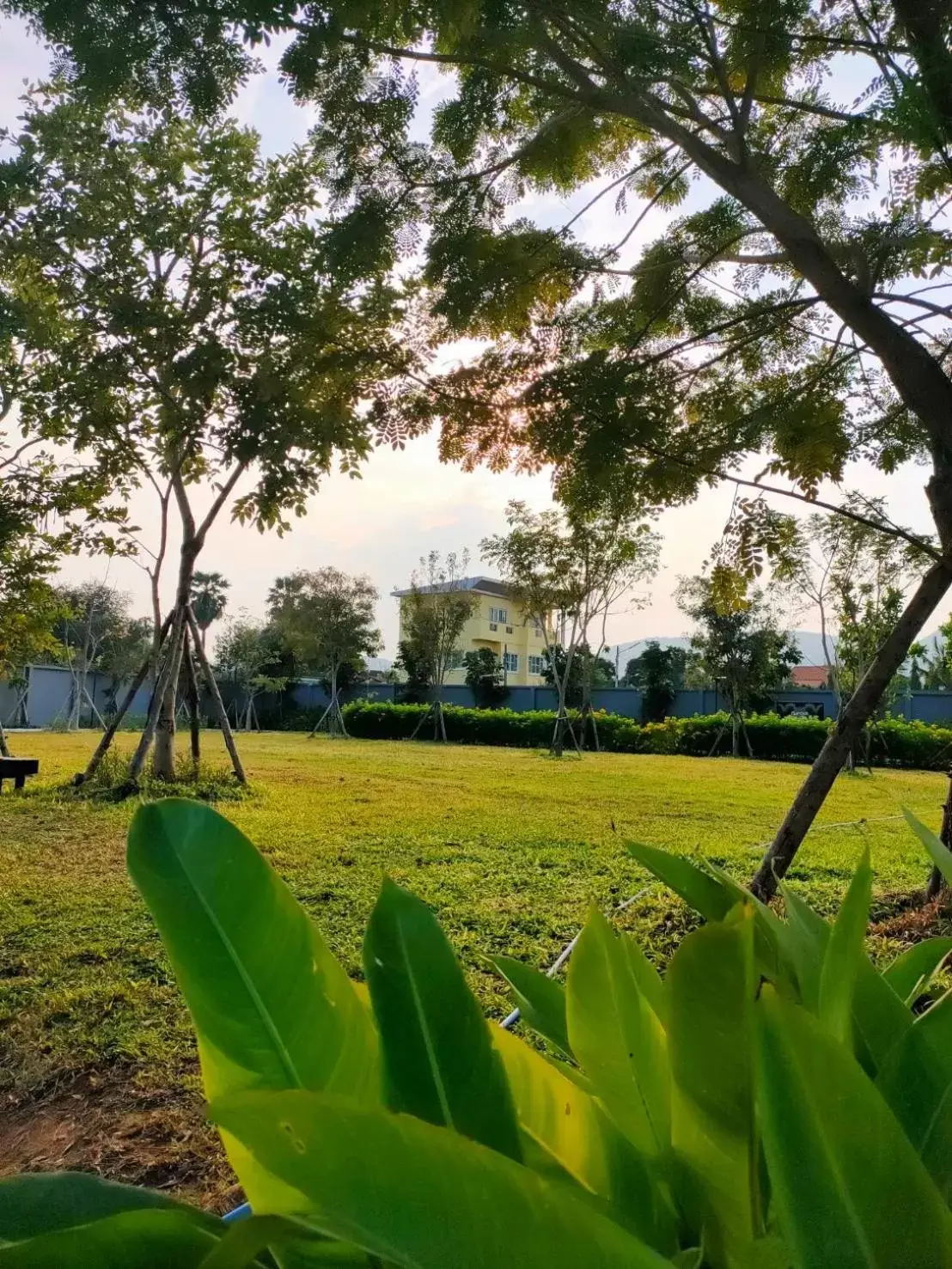 Natural landscape, Garden in iSanook Resort & Suites Hua Hin