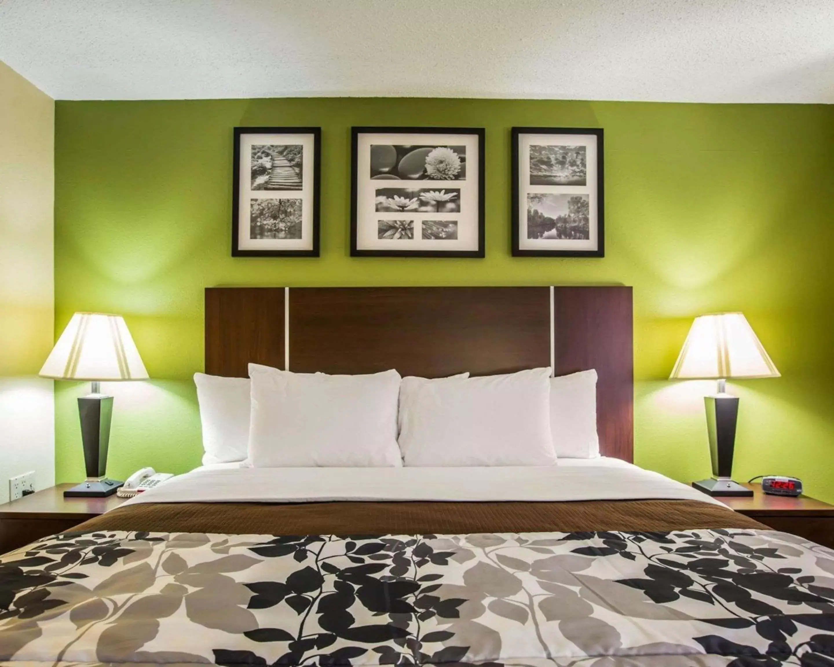 Photo of the whole room, Bed in Sleep Inn Asheville-Biltmore West