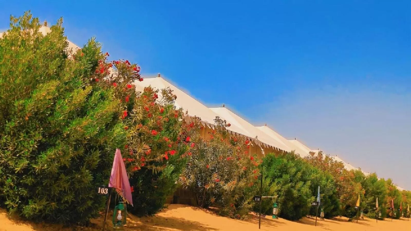 Property building in Rumis Desert Camp and Resort