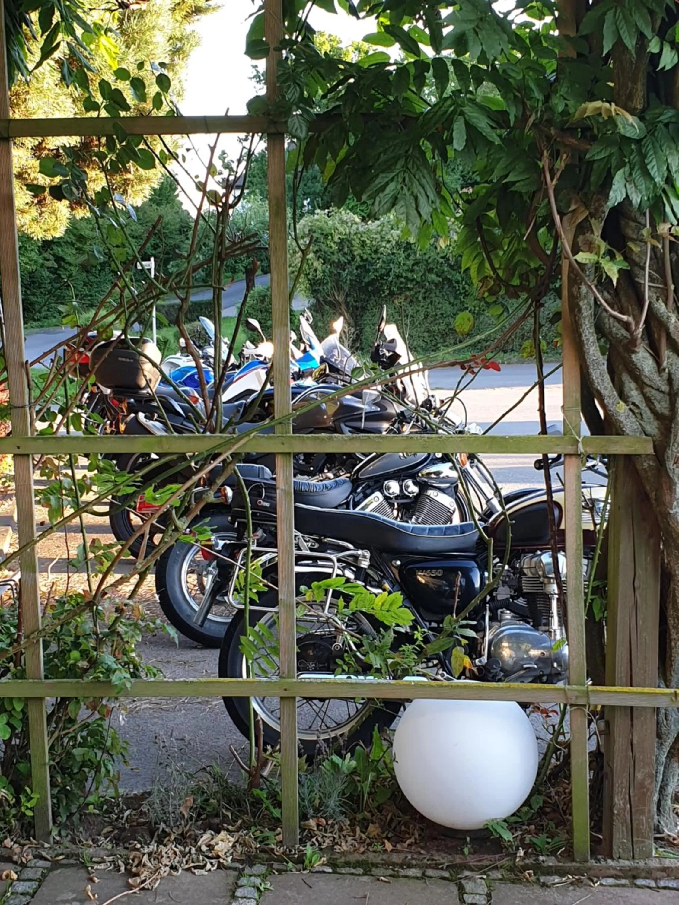 Activities in Sonnenhof