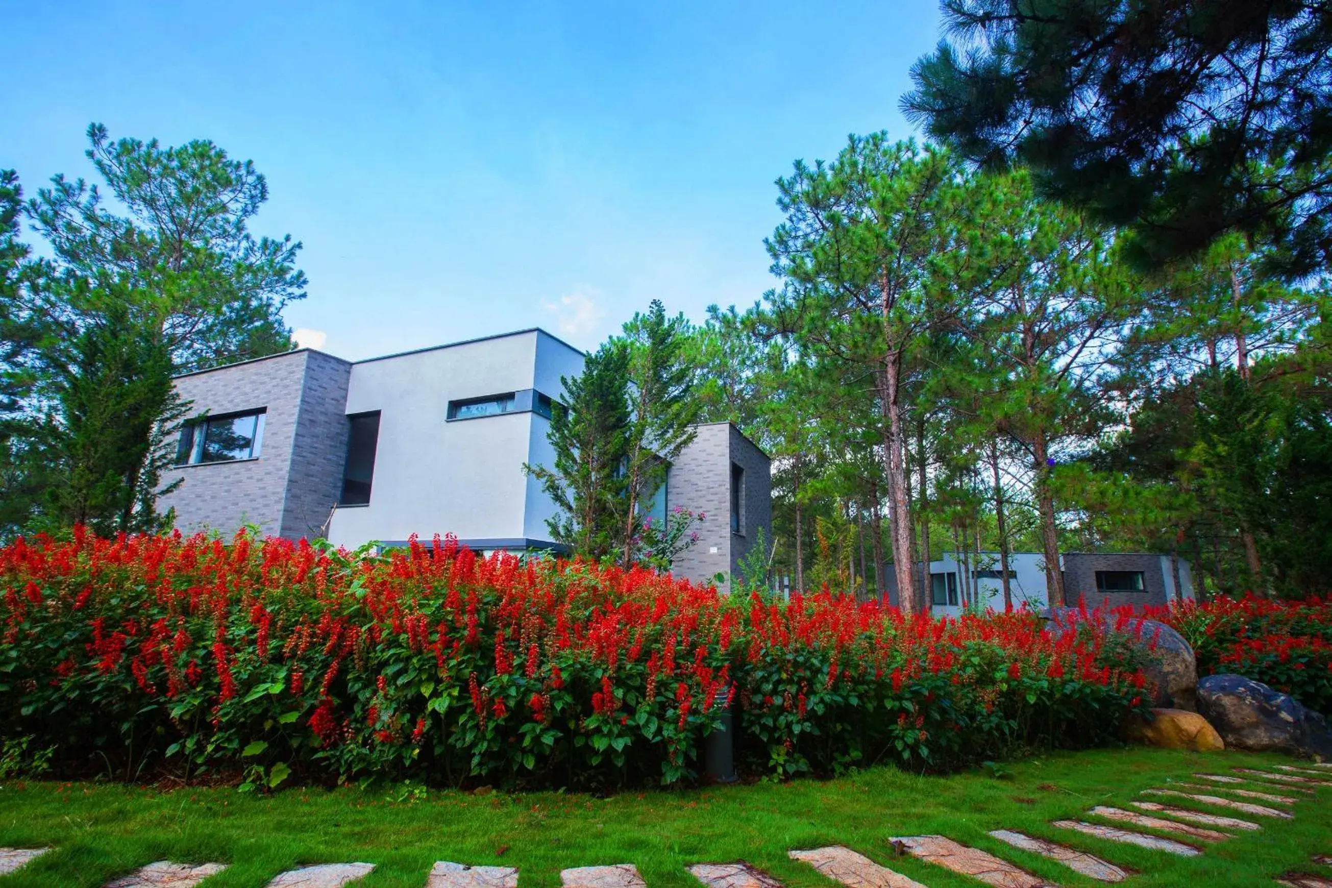 Natural landscape, Property Building in Terracotta Hotel And Resort Dalat