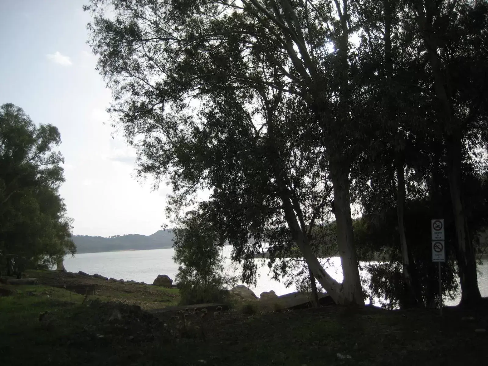 Natural landscape in Oasi del Lago