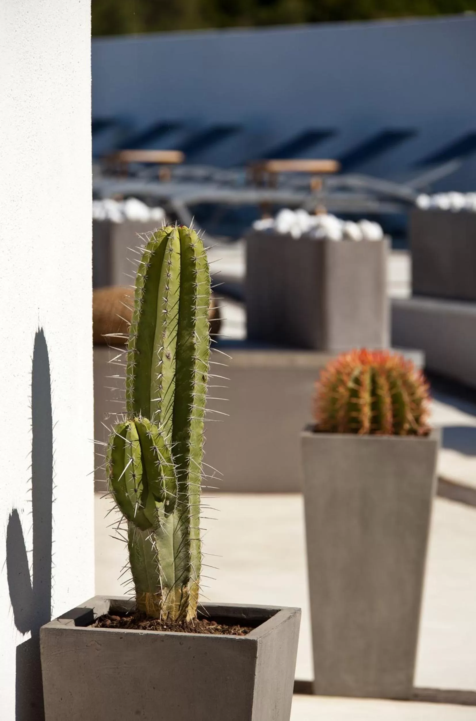 Facade/entrance in Lodge Sainte Helene Adult only