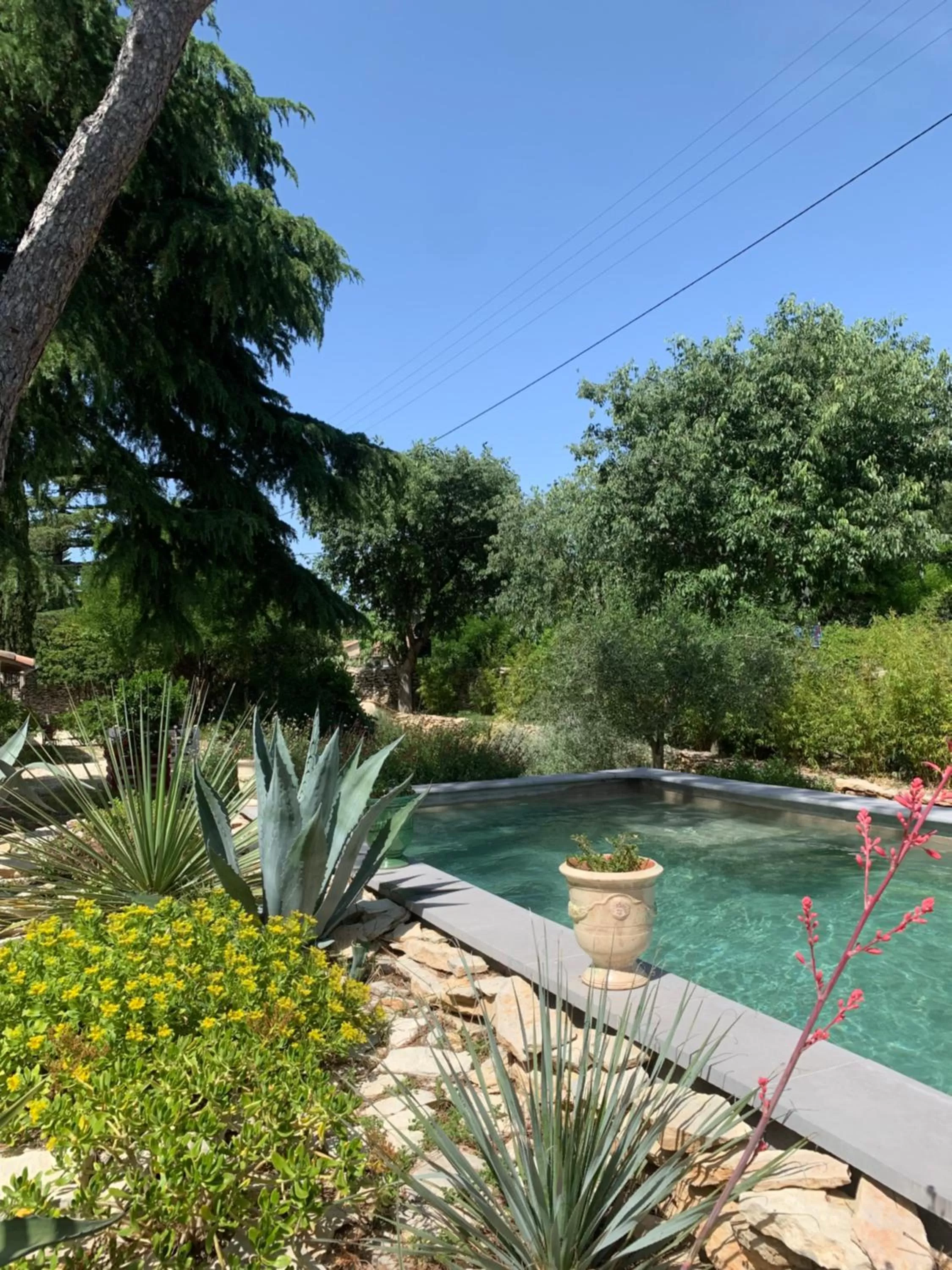 Swimming pool in Chambres d'Hôtes Lovely Planette