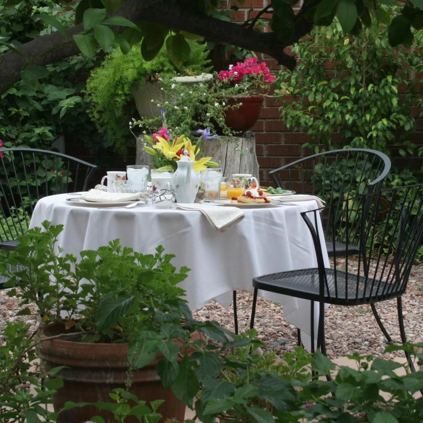 Patio in Mon Ami Bed and Breakfast