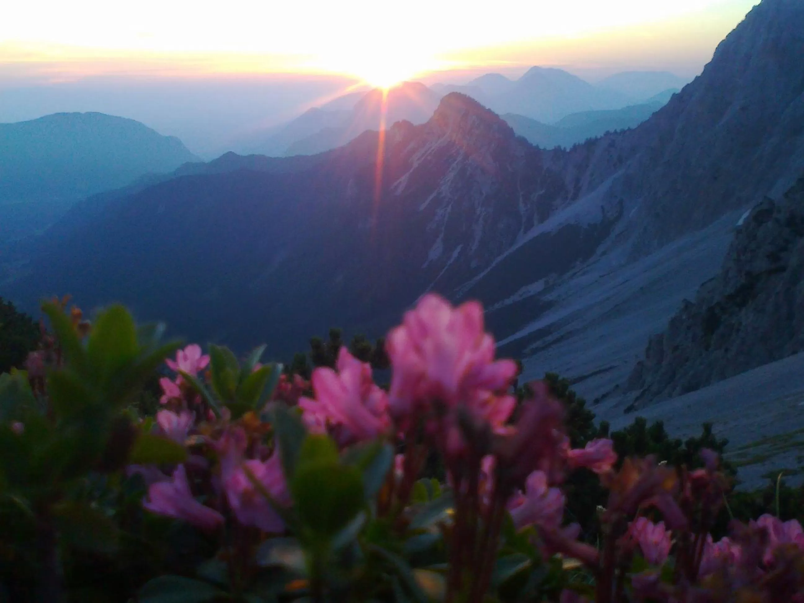 Natural landscape in Bed&Breakfast Lausegger