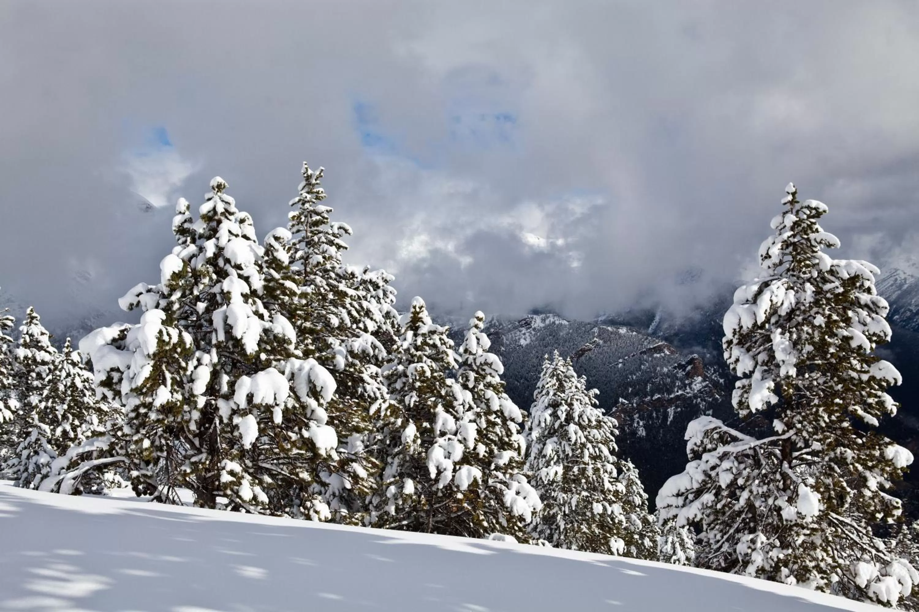 Area and facilities in Hotel Del Pui by Nexta