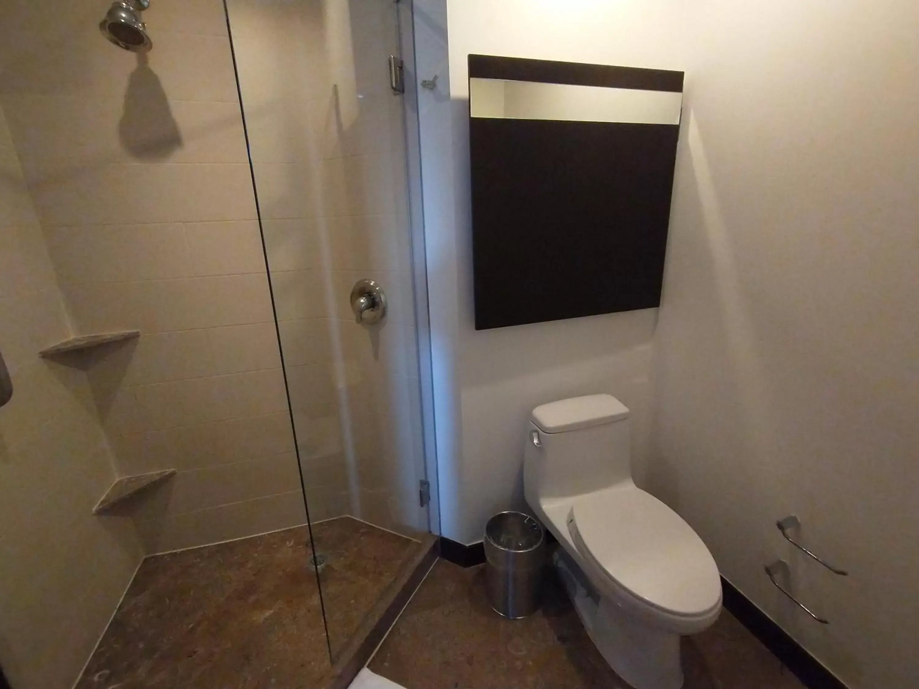 Shower, Bathroom in Holiday Inn Bogota Airport, an IHG Hotel