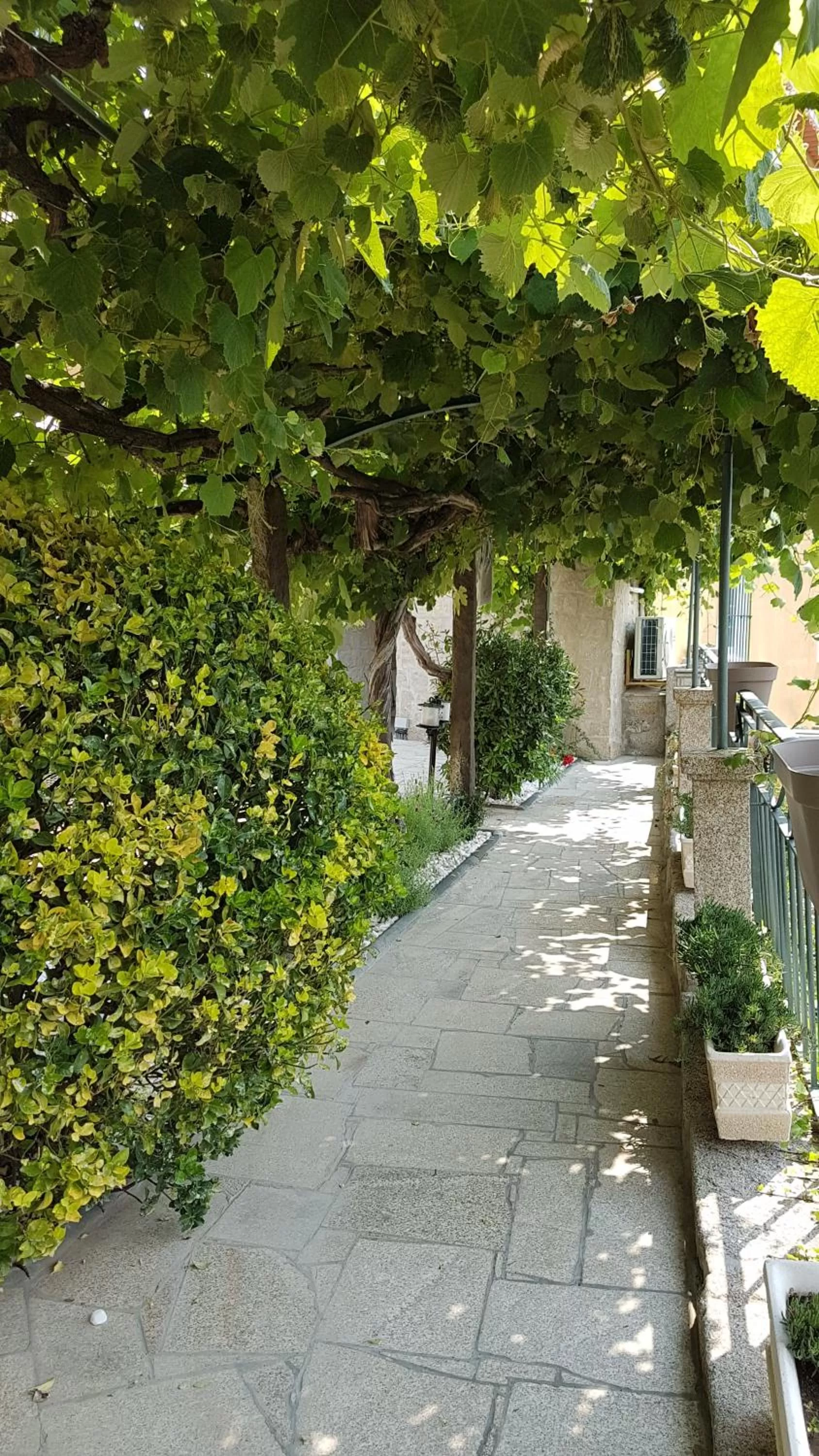 Garden in Private Villa Porto