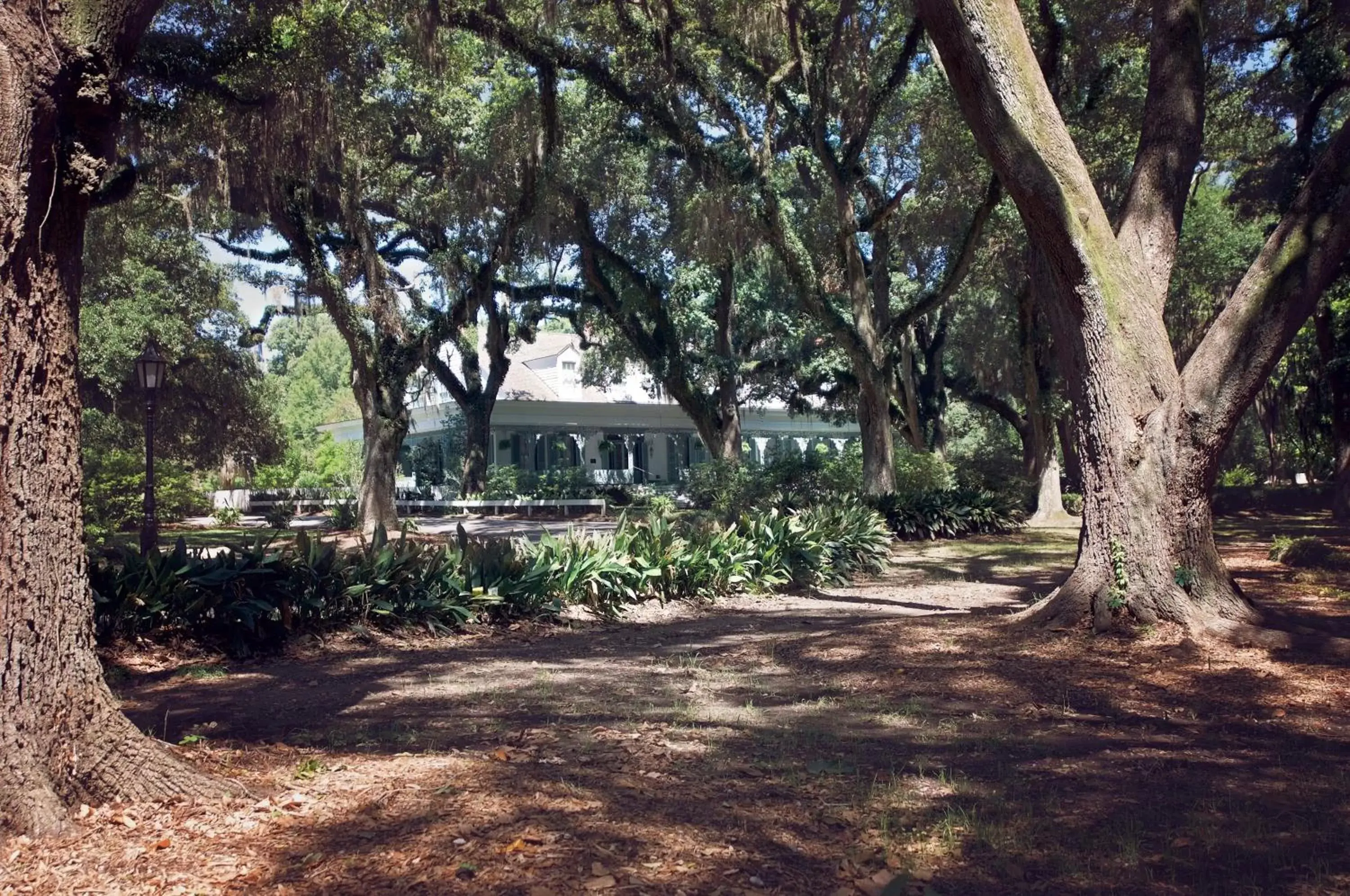 Property Building in The Myrtles