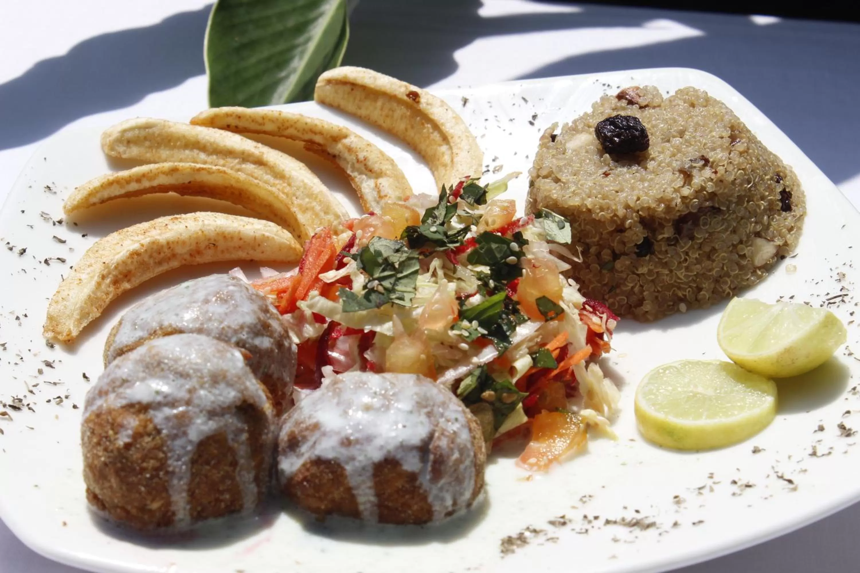 Food close-up in Los Robles Capurgana