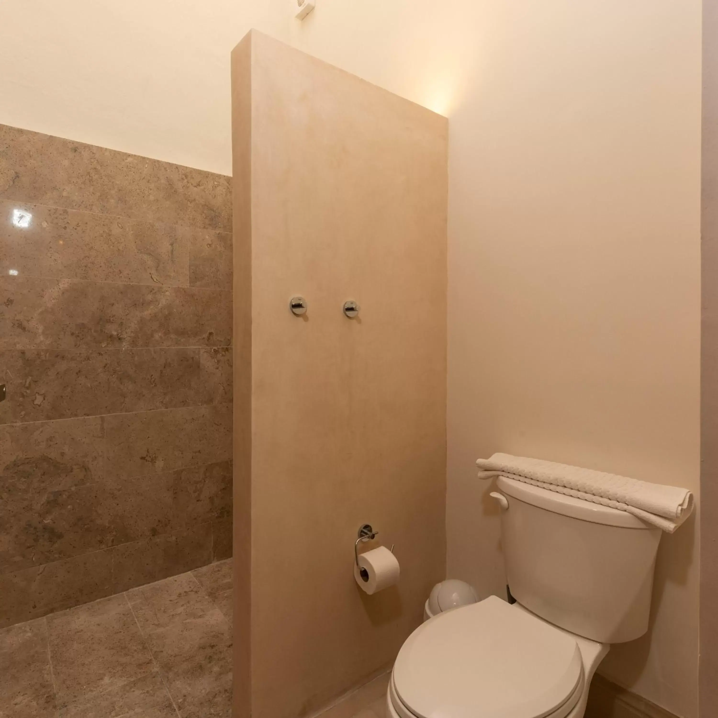 Shower, Bathroom in Villa Orquídea Boutique Hotel