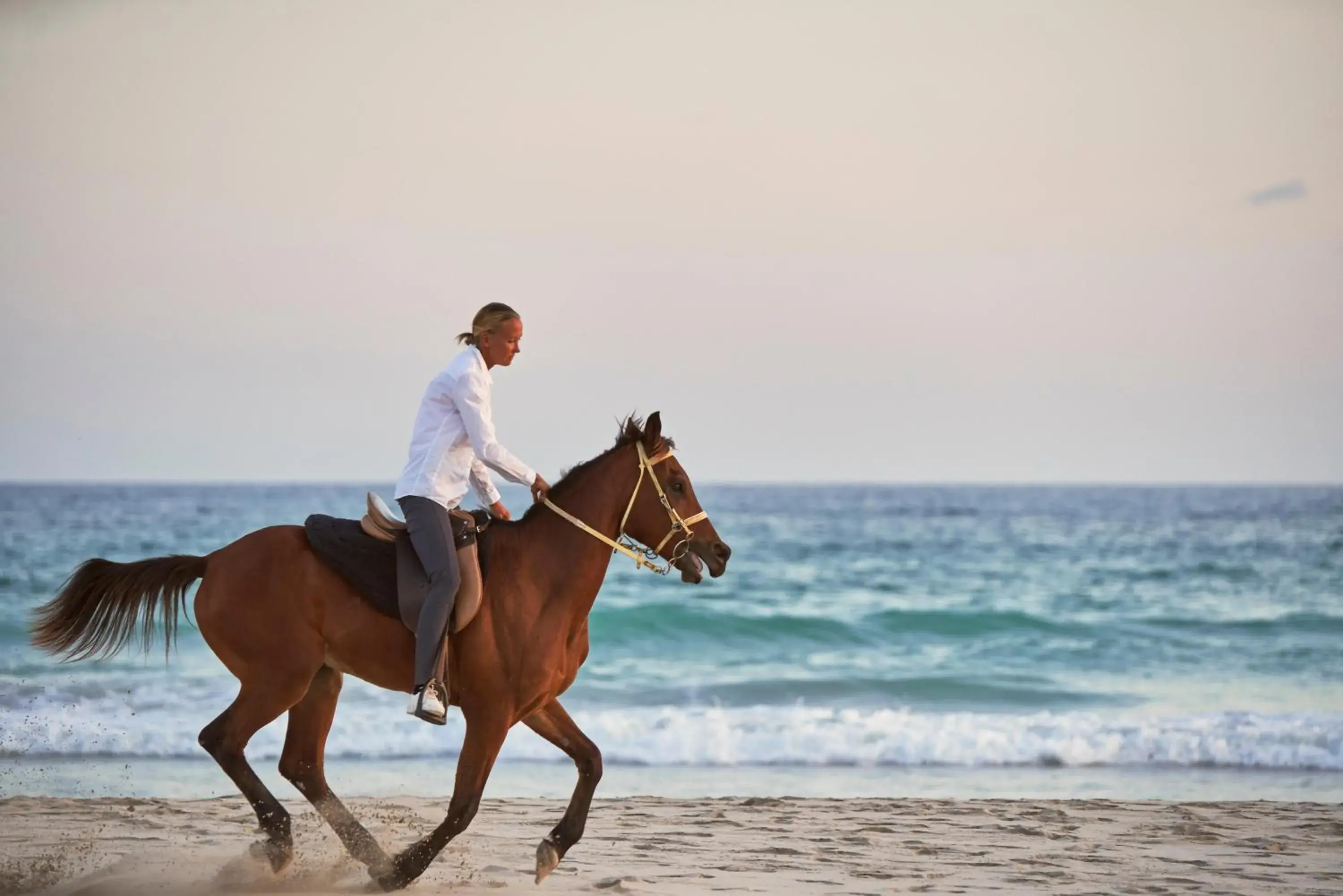 Activities, Horseback Riding in Fanar Hotel & Residences