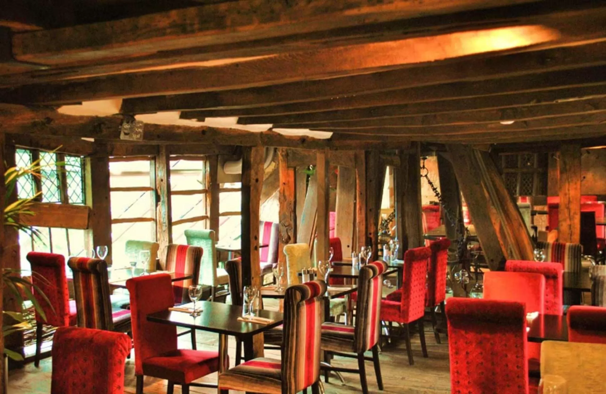 Restaurant/places to eat in Cheshire Cat