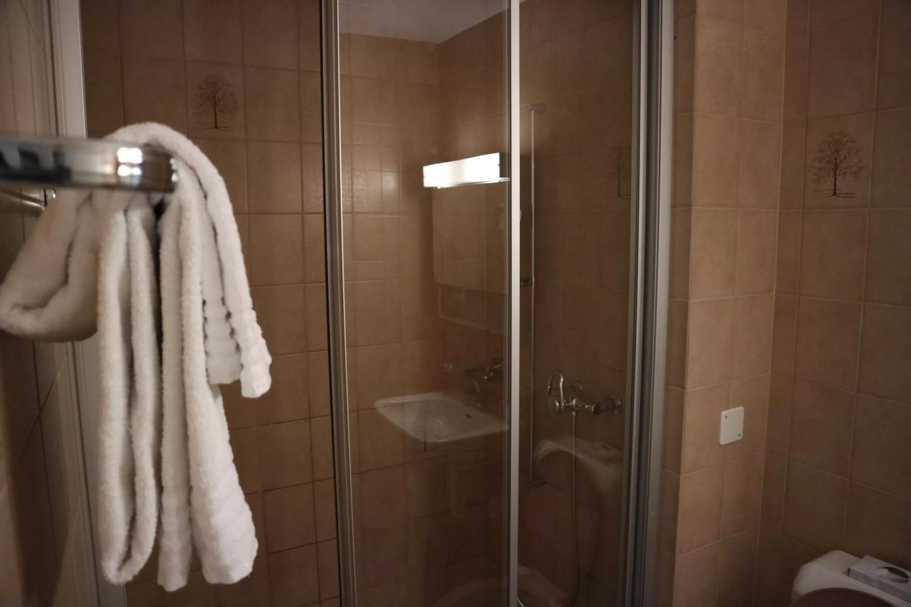 Shower in Spenglers Inn