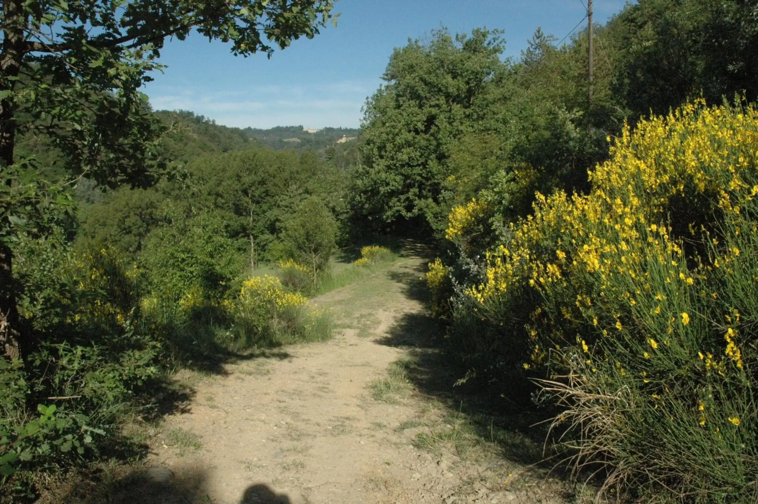 Area and facilities in Agriturismo Rio Verde