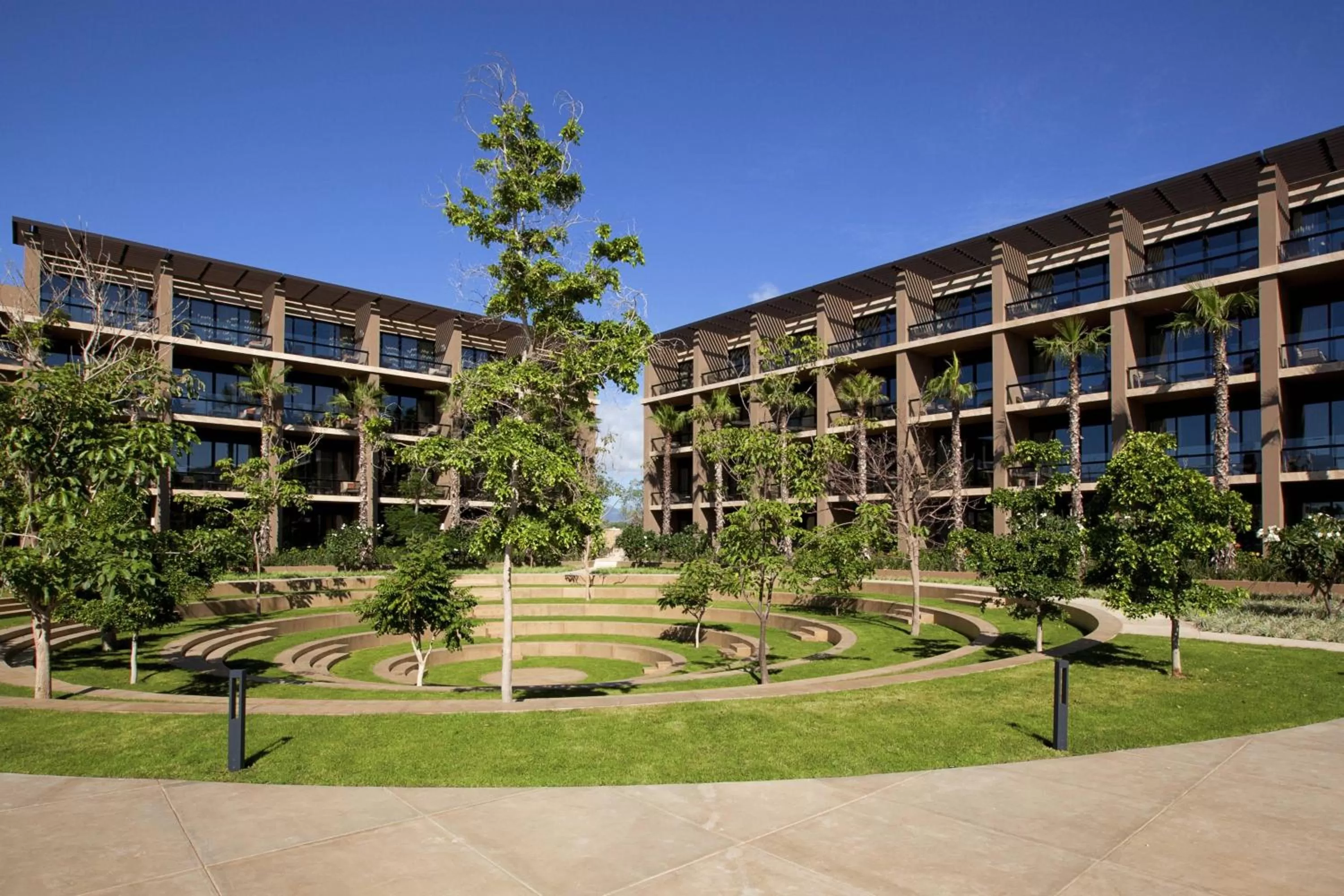 Other in JW Marriott Los Cabos Beach Resort & Spa