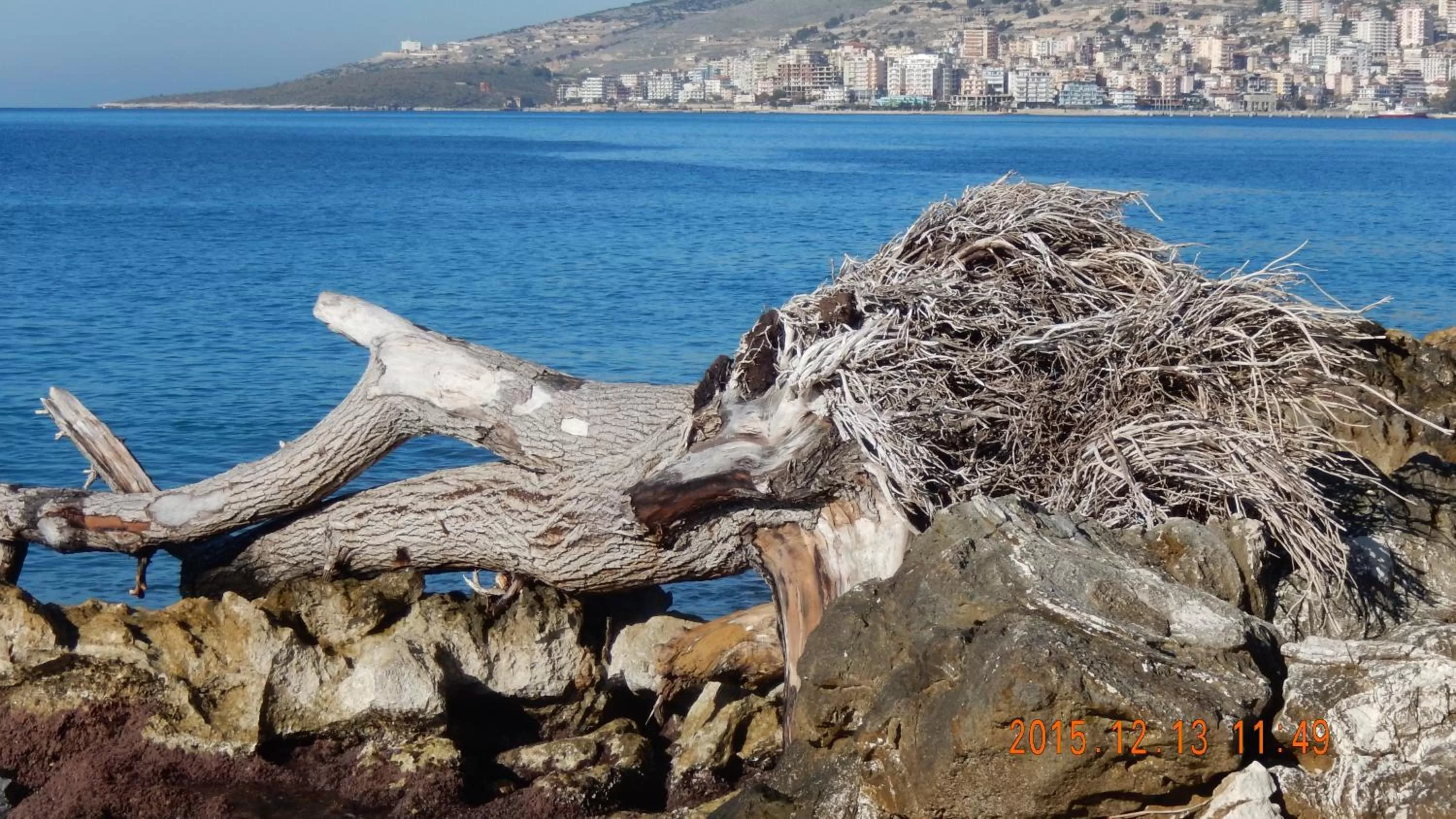 Beach in Jelena's Luxury Apartments