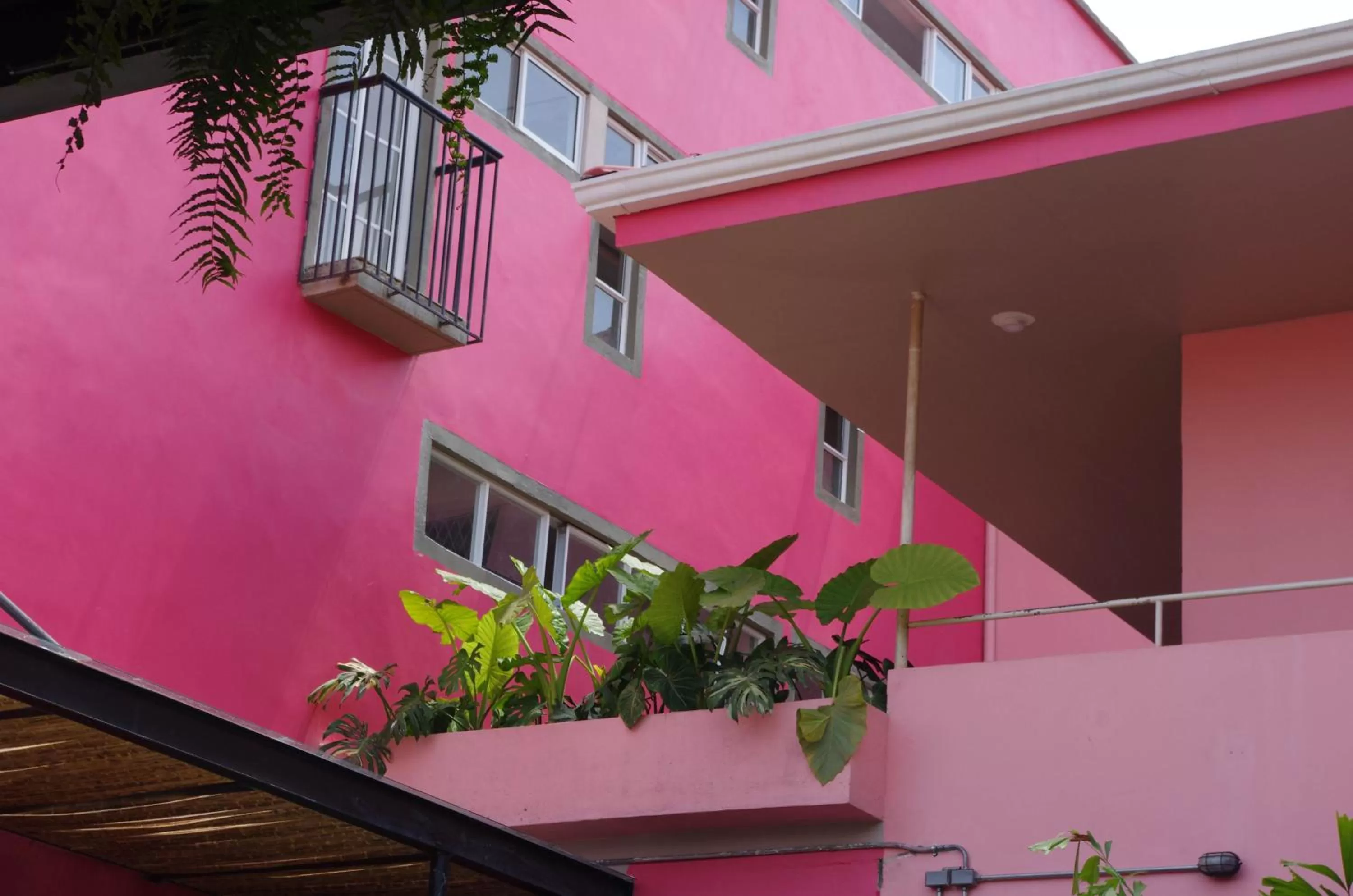 Property building in Rossa Palma