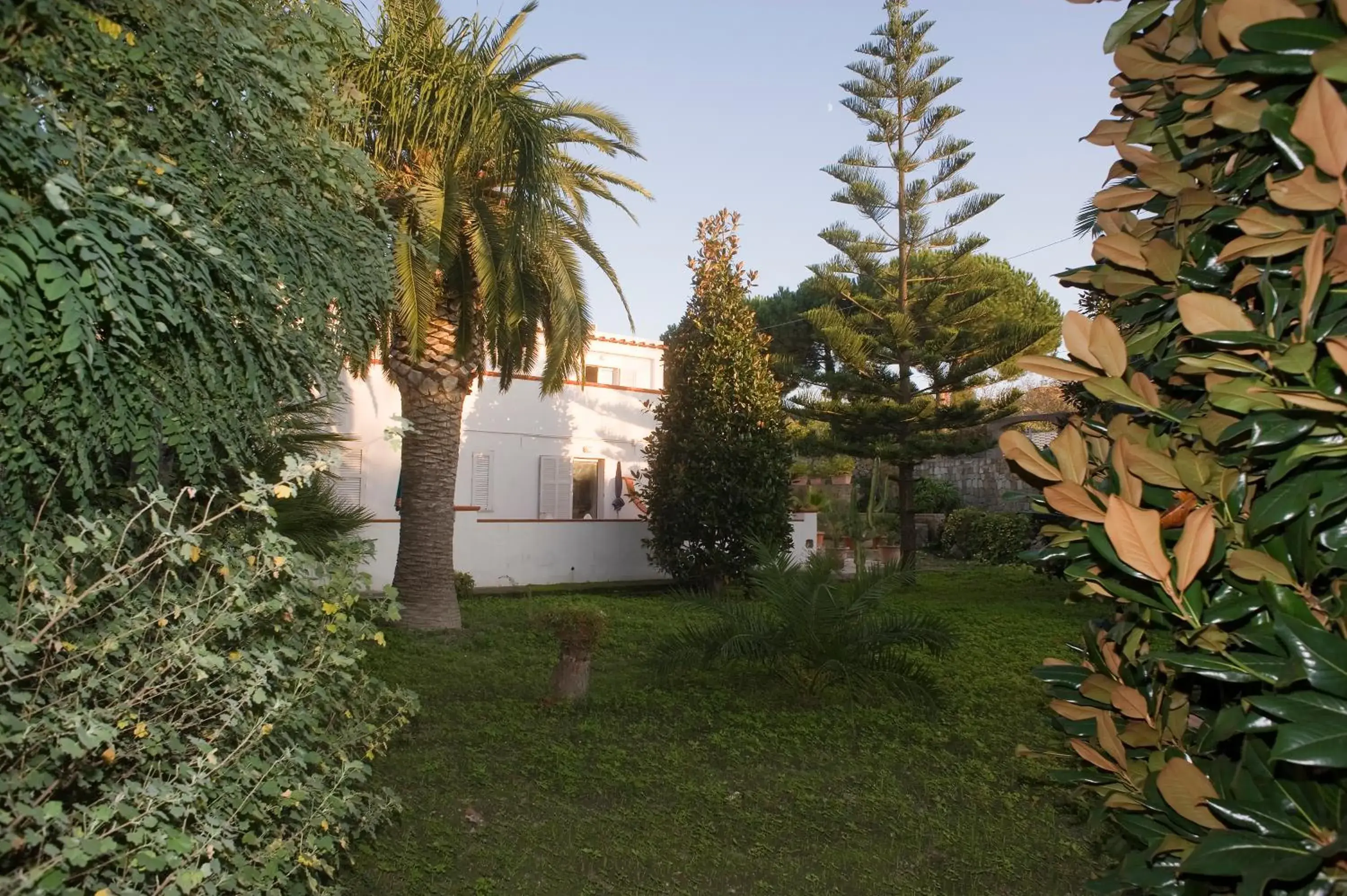 Garden view, Property Building in Park Hotel Terme Mediterraneo