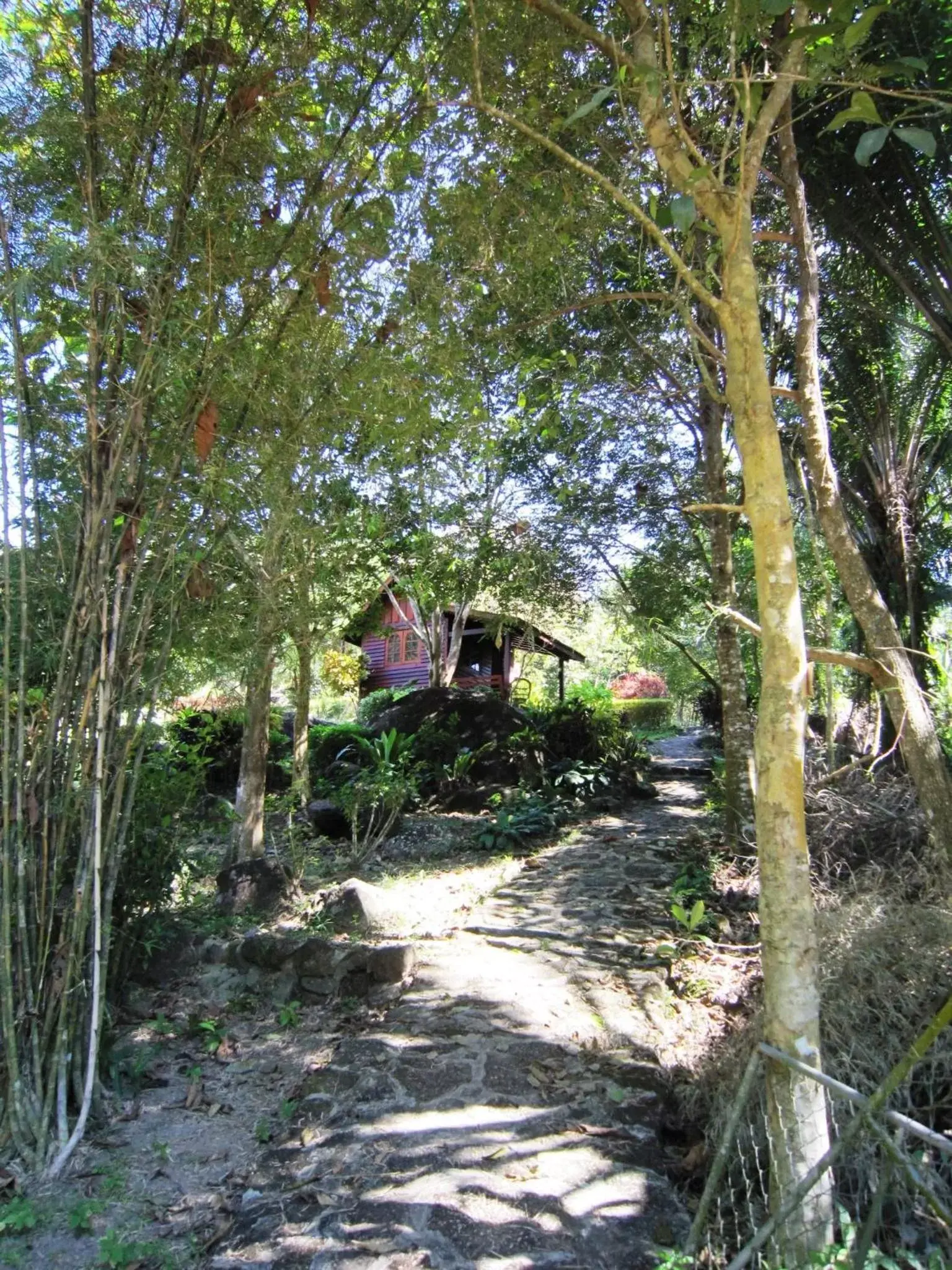 Garden in Phanom Bencha Mountain Resort