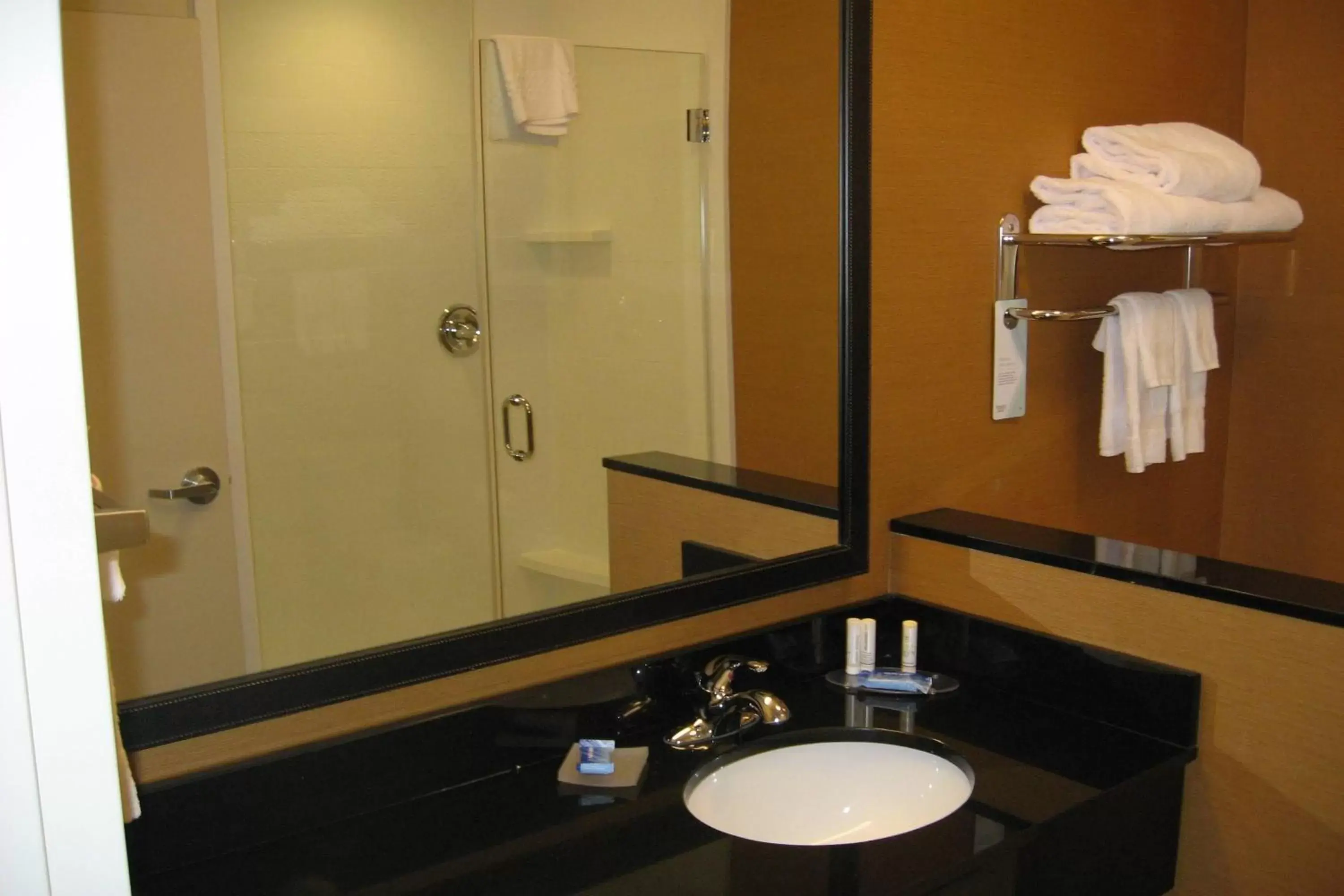 Bathroom in Fairfield Inn & Suites by Marriott Elmira Corning