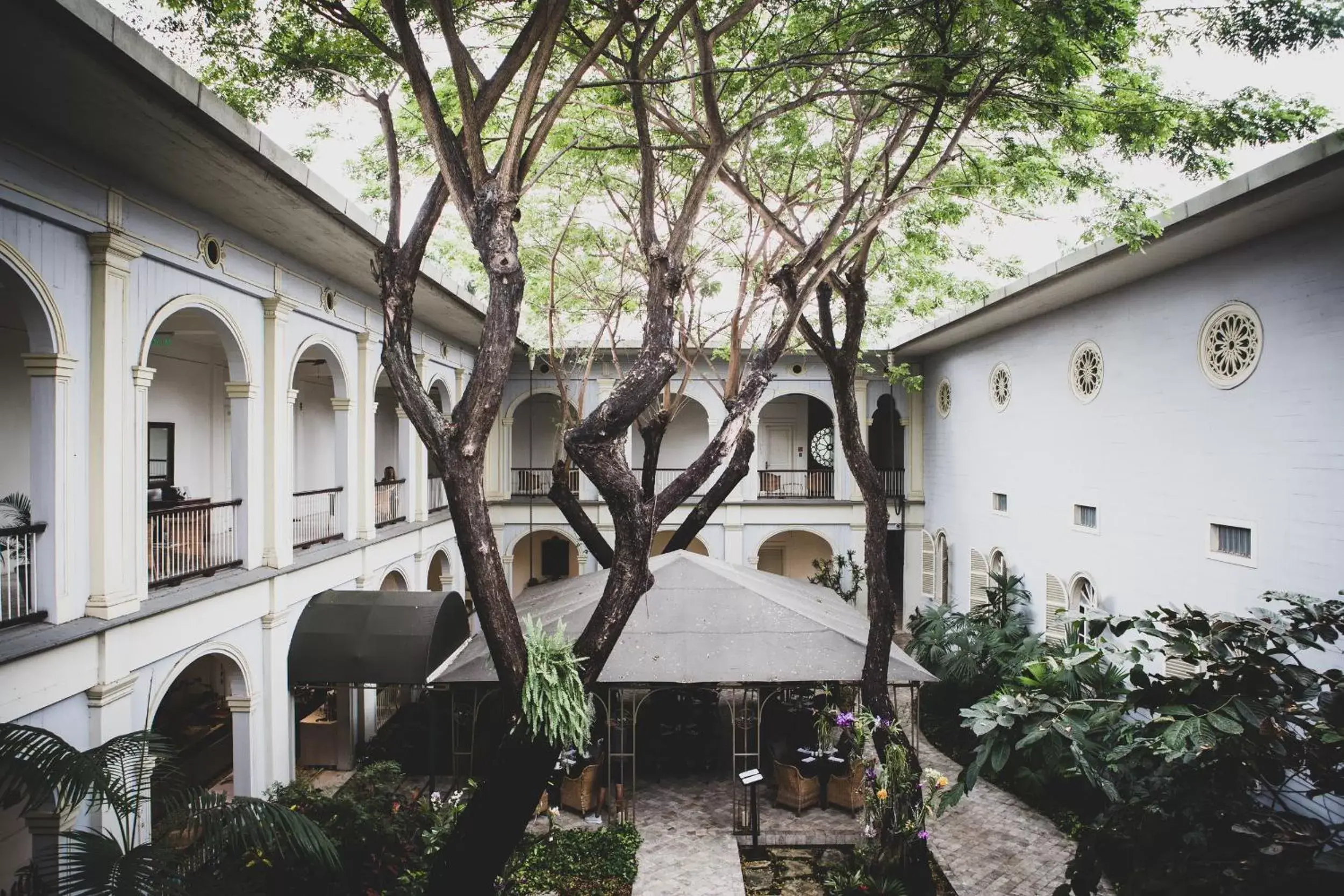 Patio, Property Building in Hotel del Parque