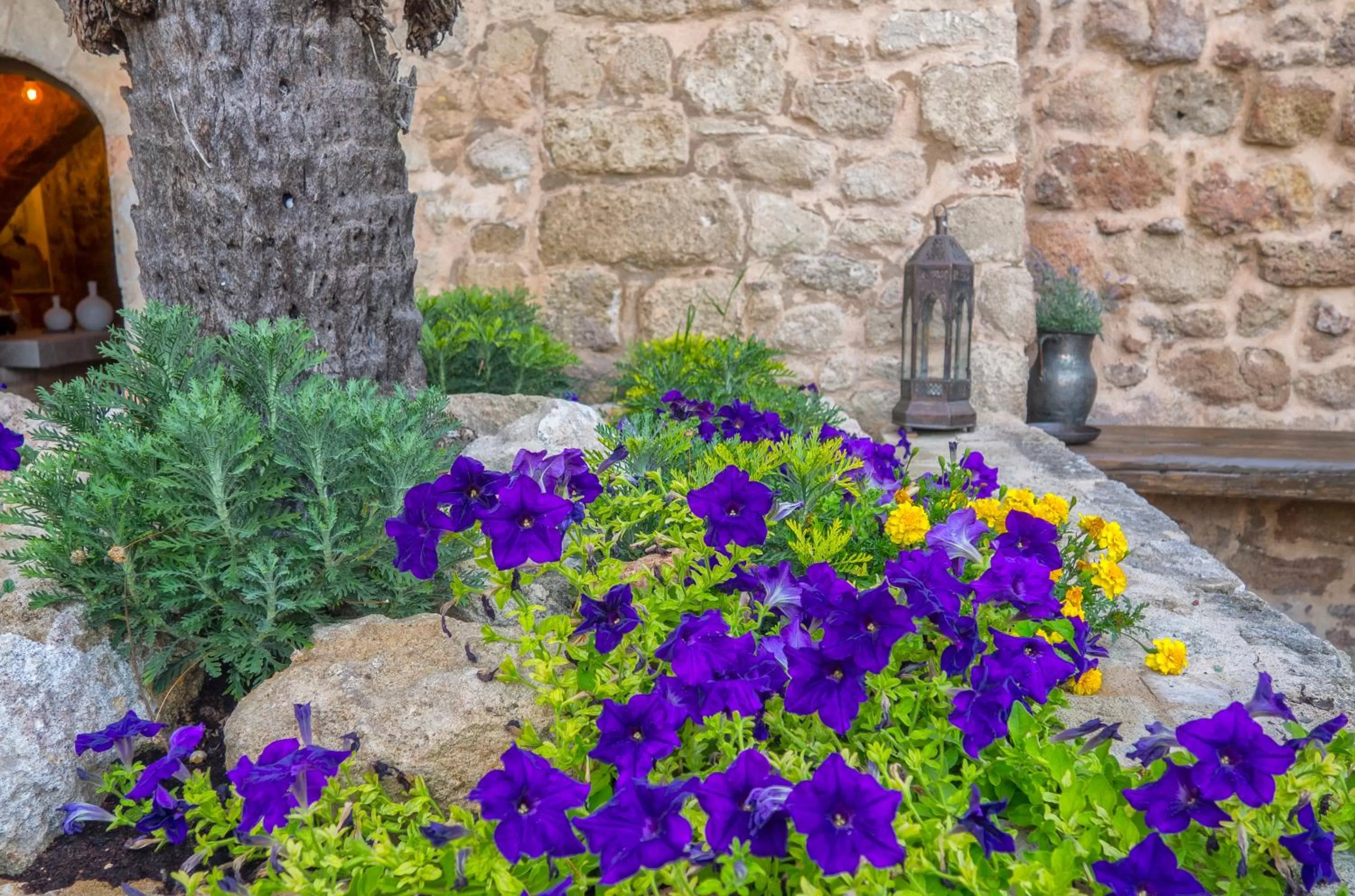 Garden in Trinity Boutique Hotel