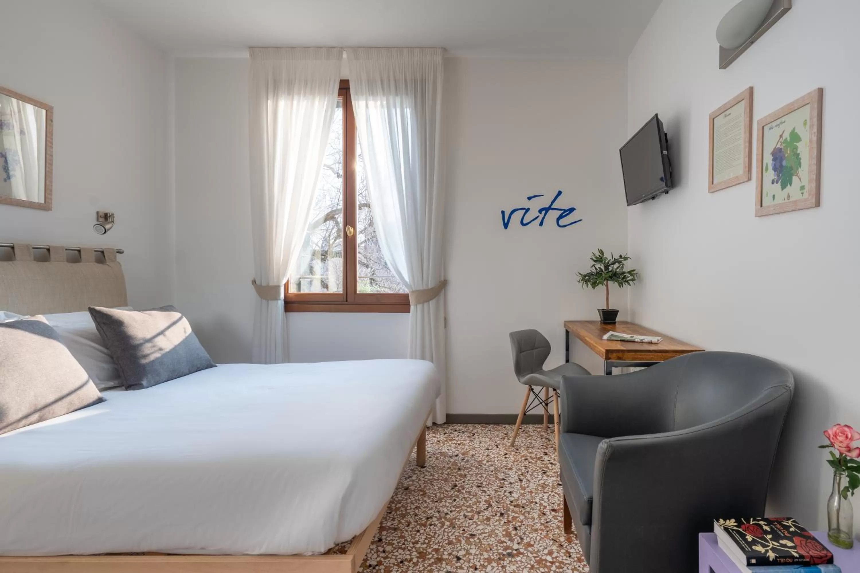 Economy Double Room in Rimon Residence