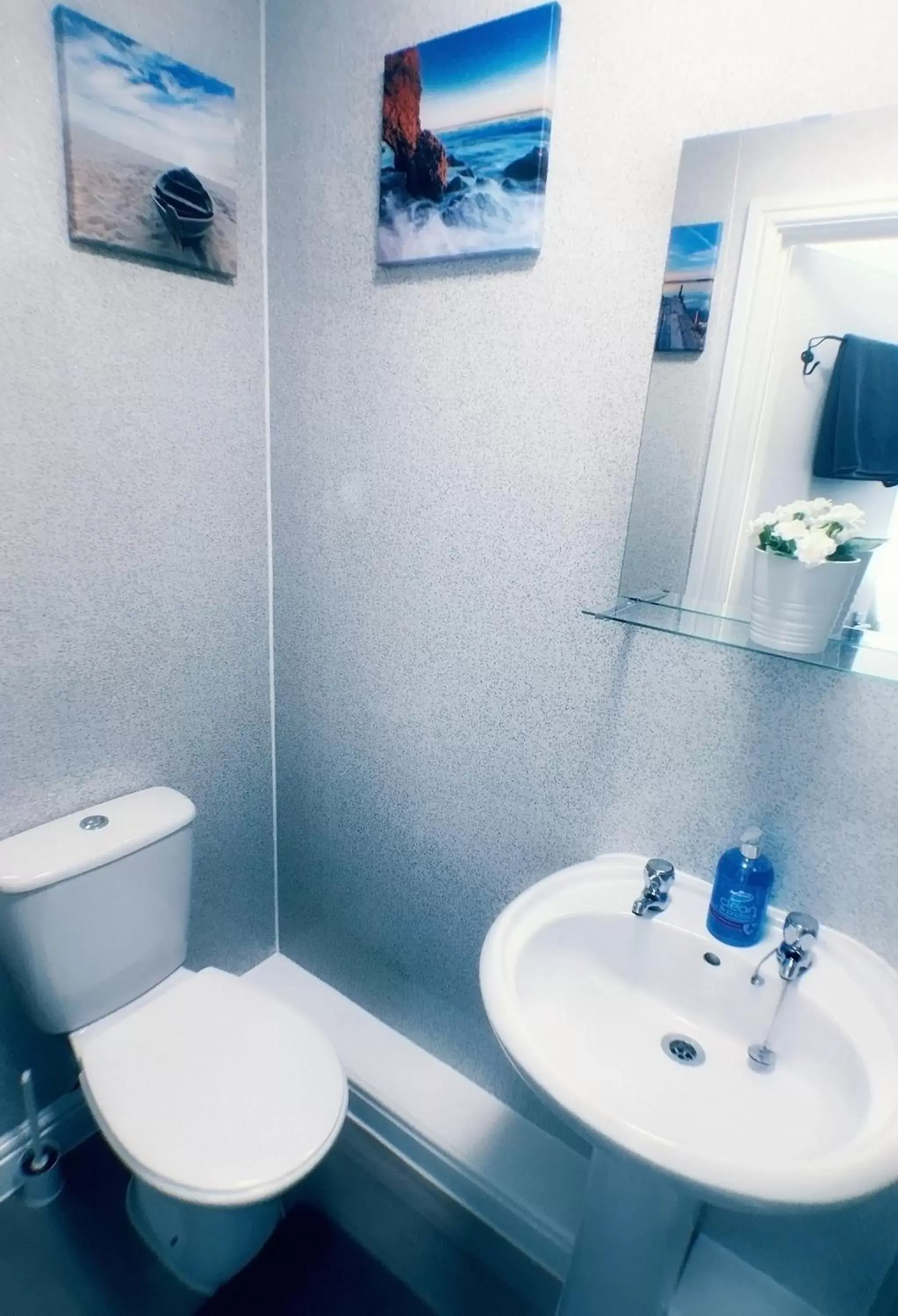 Toilet, Bathroom in Castle Terrace (B3 R2)