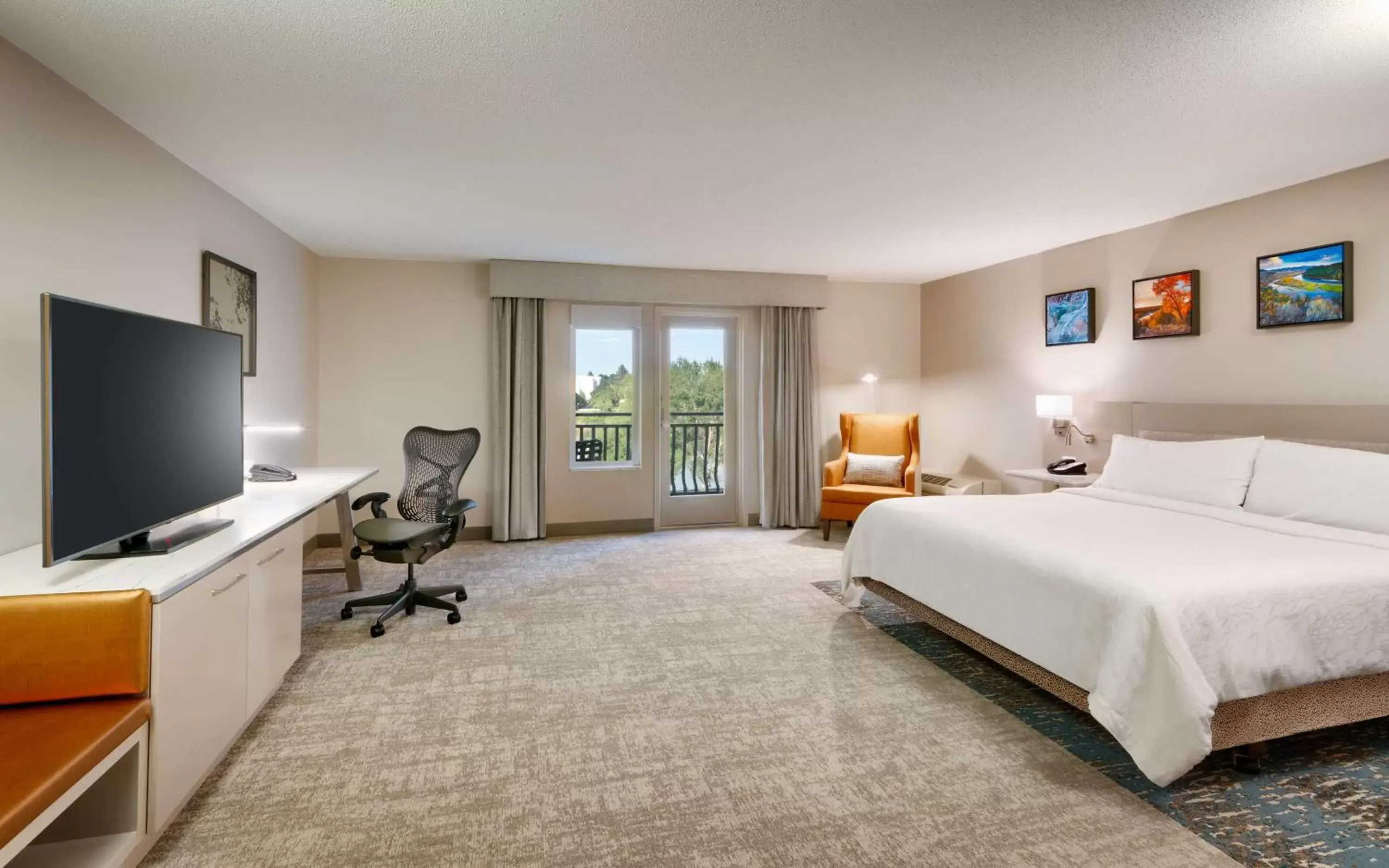 Bedroom, TV/Entertainment Center in Hilton Garden Inn Idaho Falls
