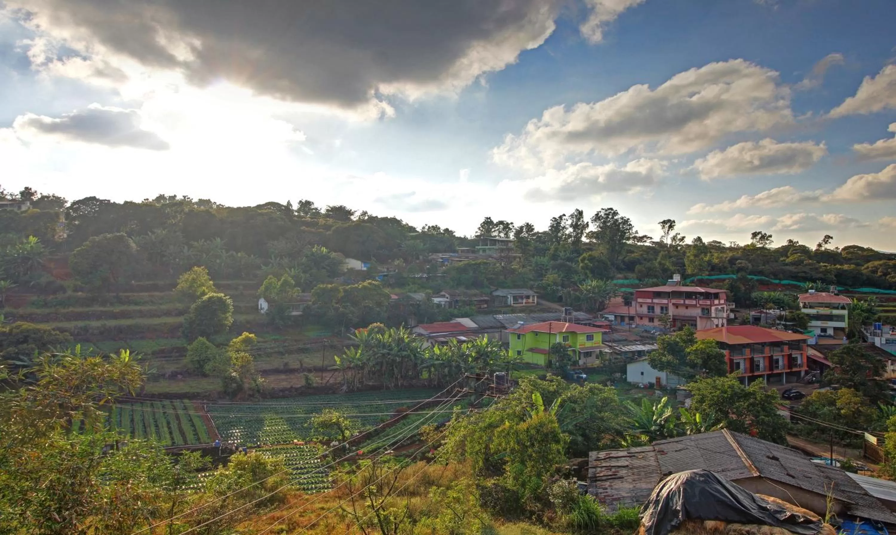 Treebo Trend Raaya Regency