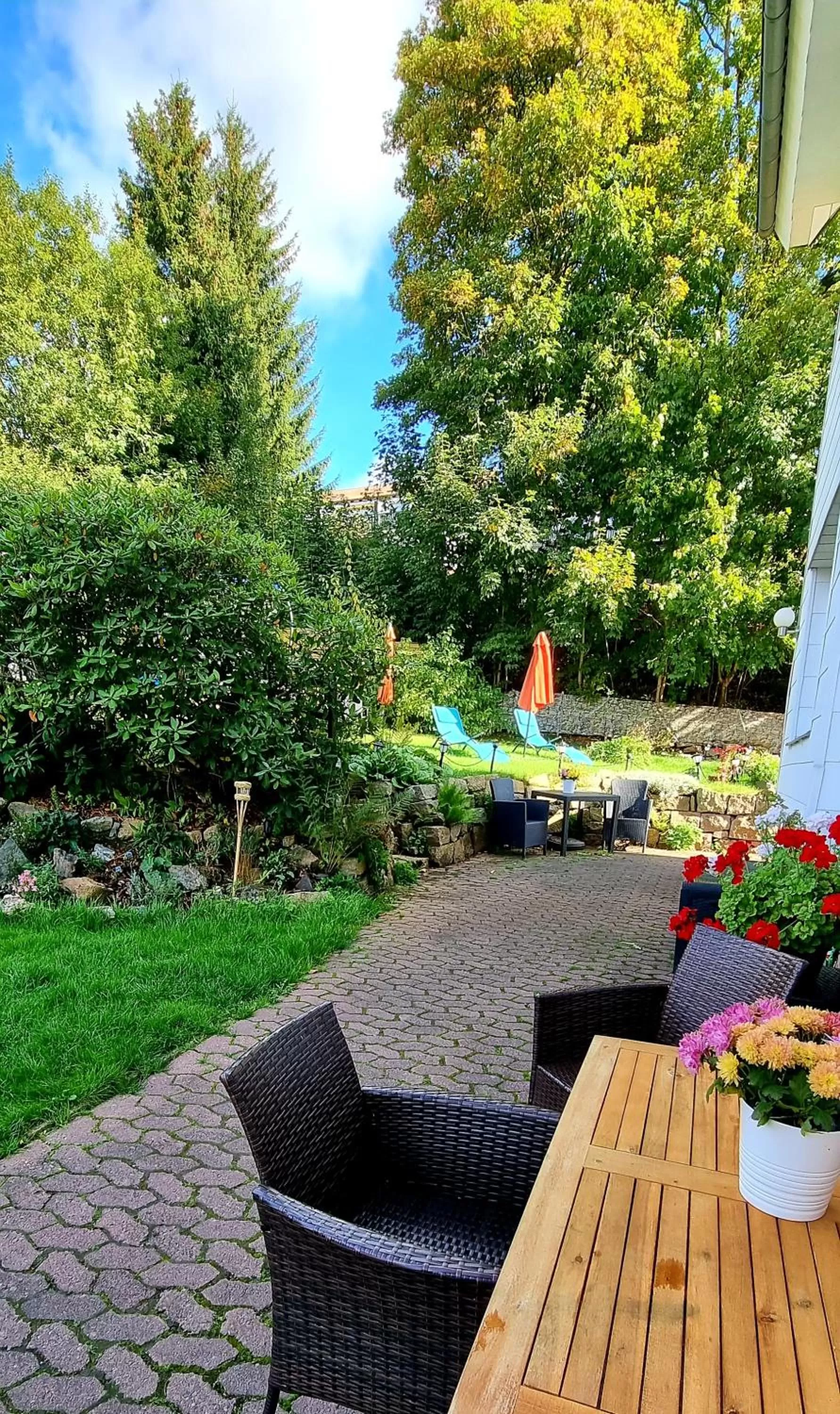 Patio in Hotel Elisabeth-Ilse