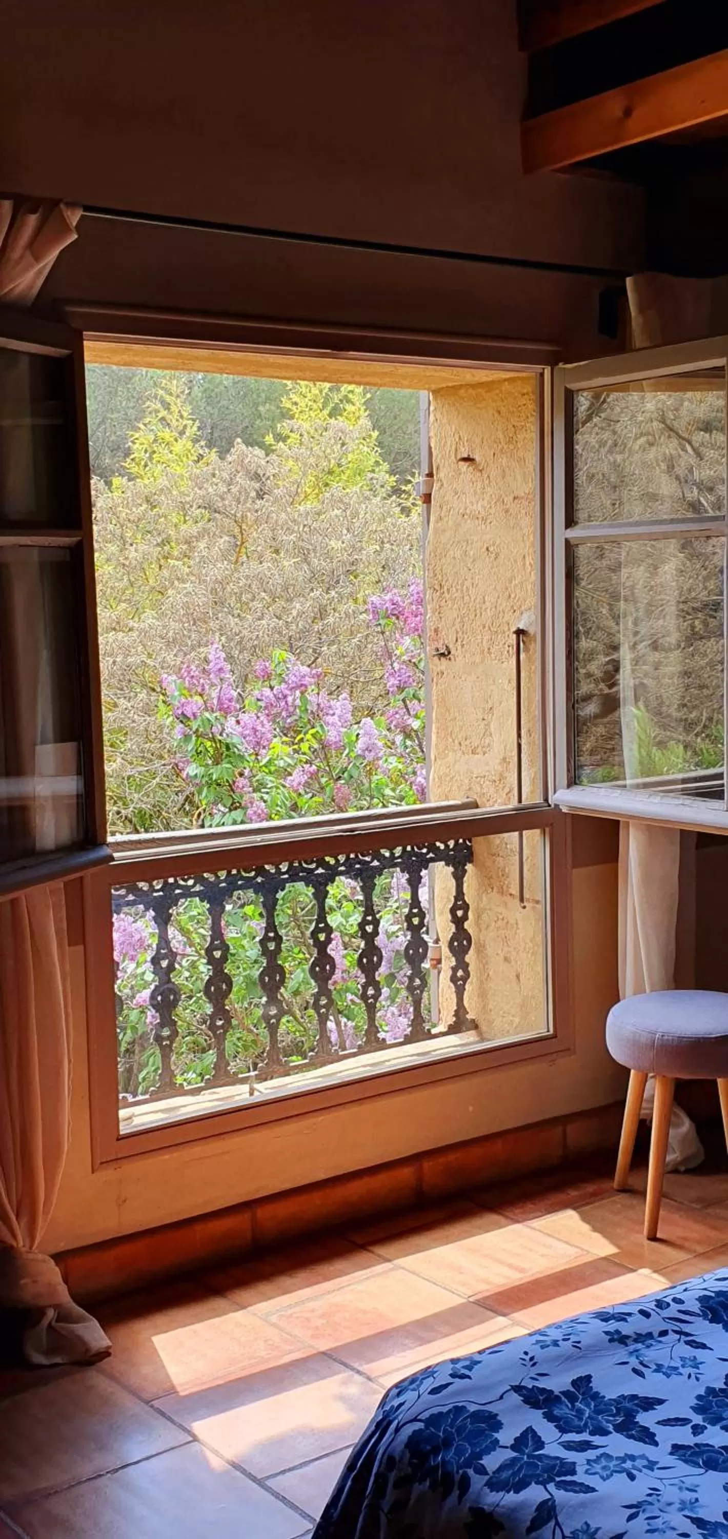 Aux berges du pont du gard