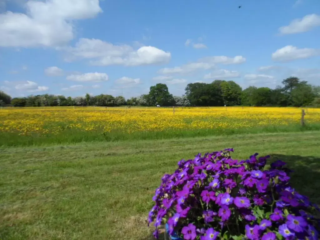 Spring in The Stables - Deer Park Farm